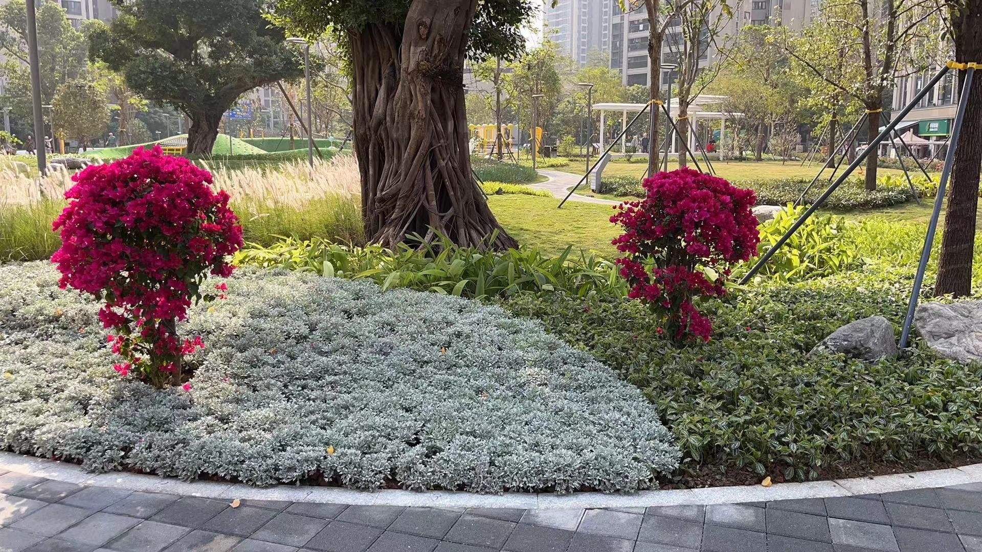崇文三路口袋公园旅行图片 1
