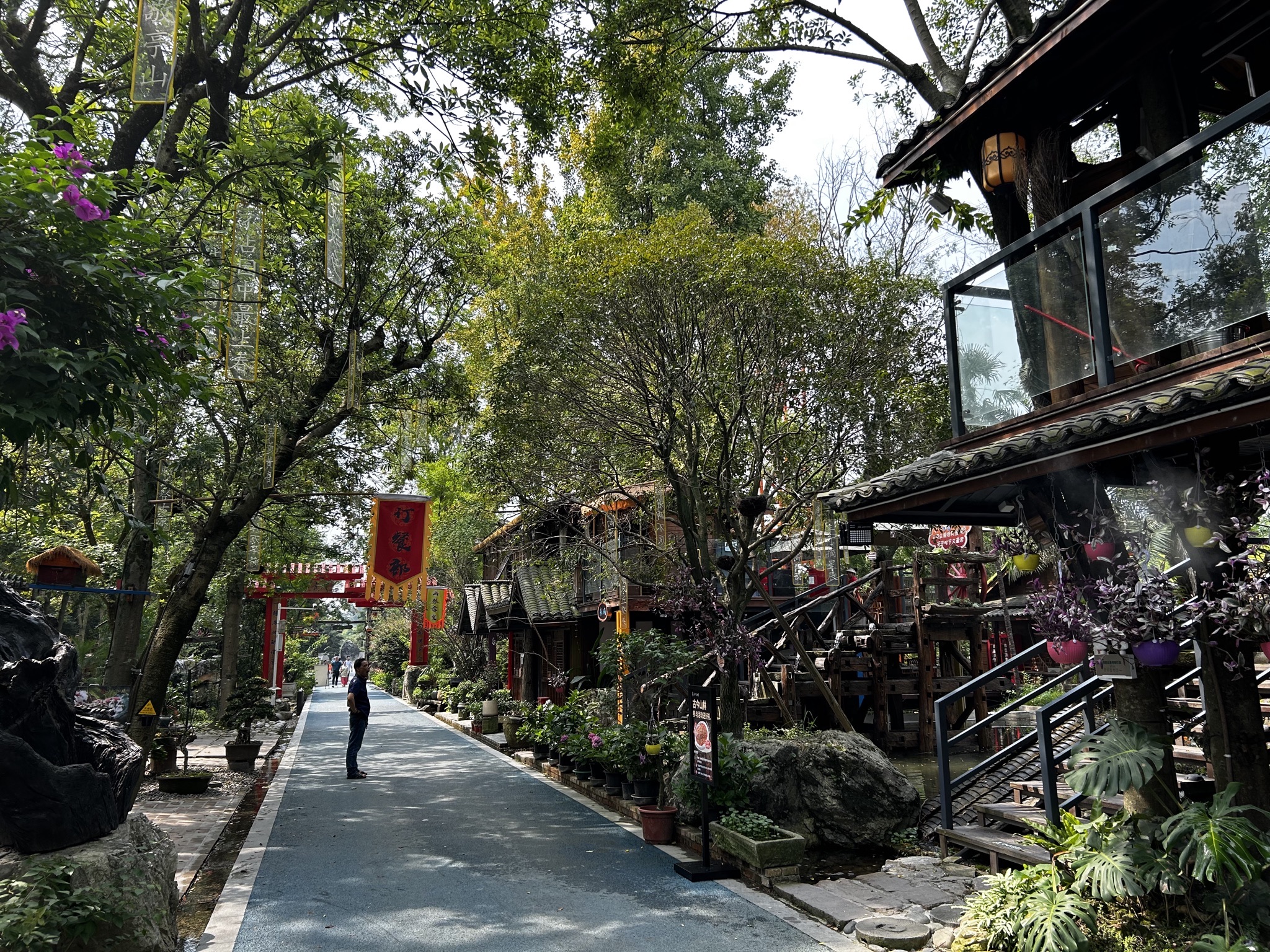 成都世界园艺博览会温江分会场旅行图片 2