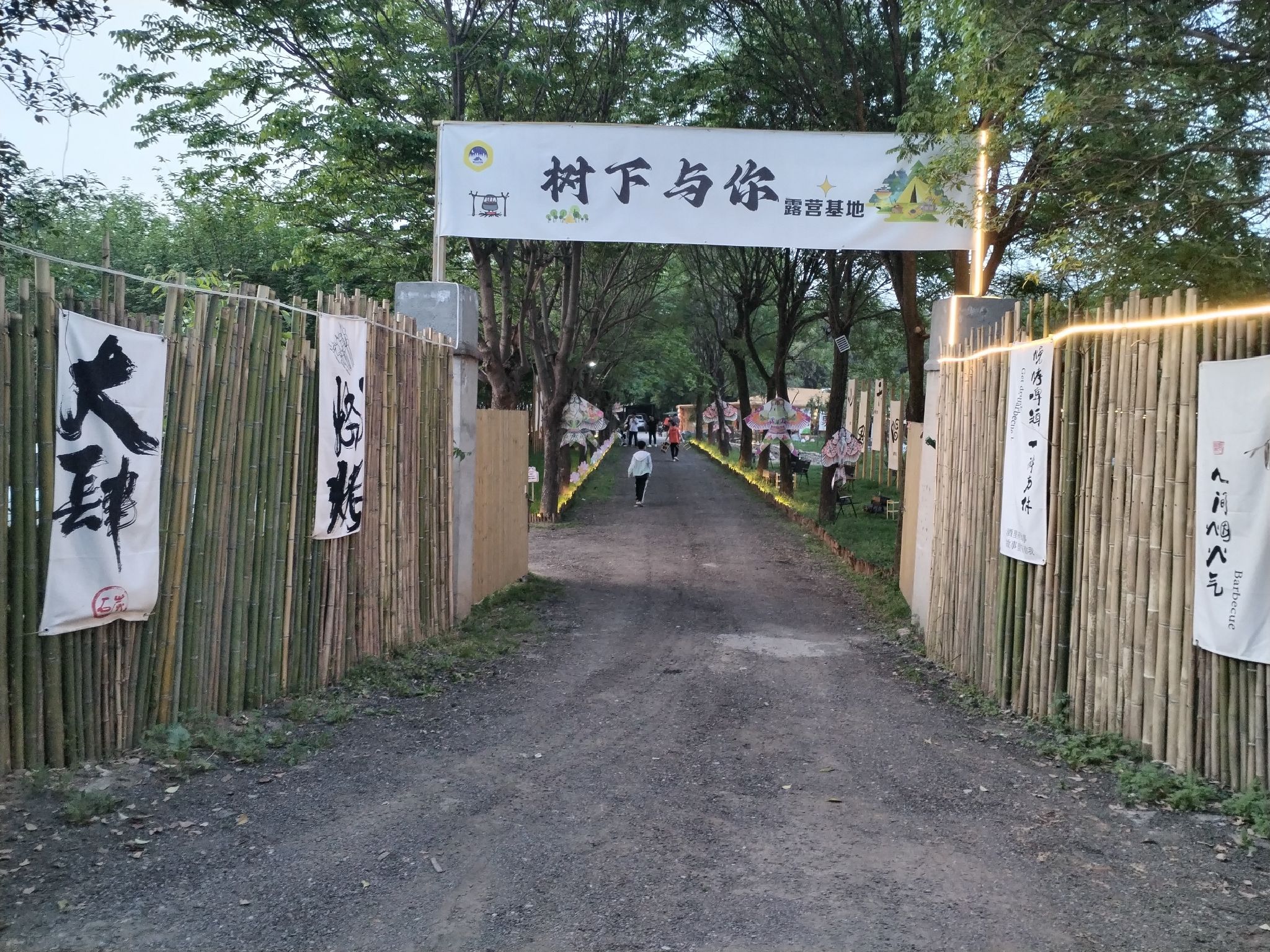 场地封面-树下与你露营基地(暂停营业)