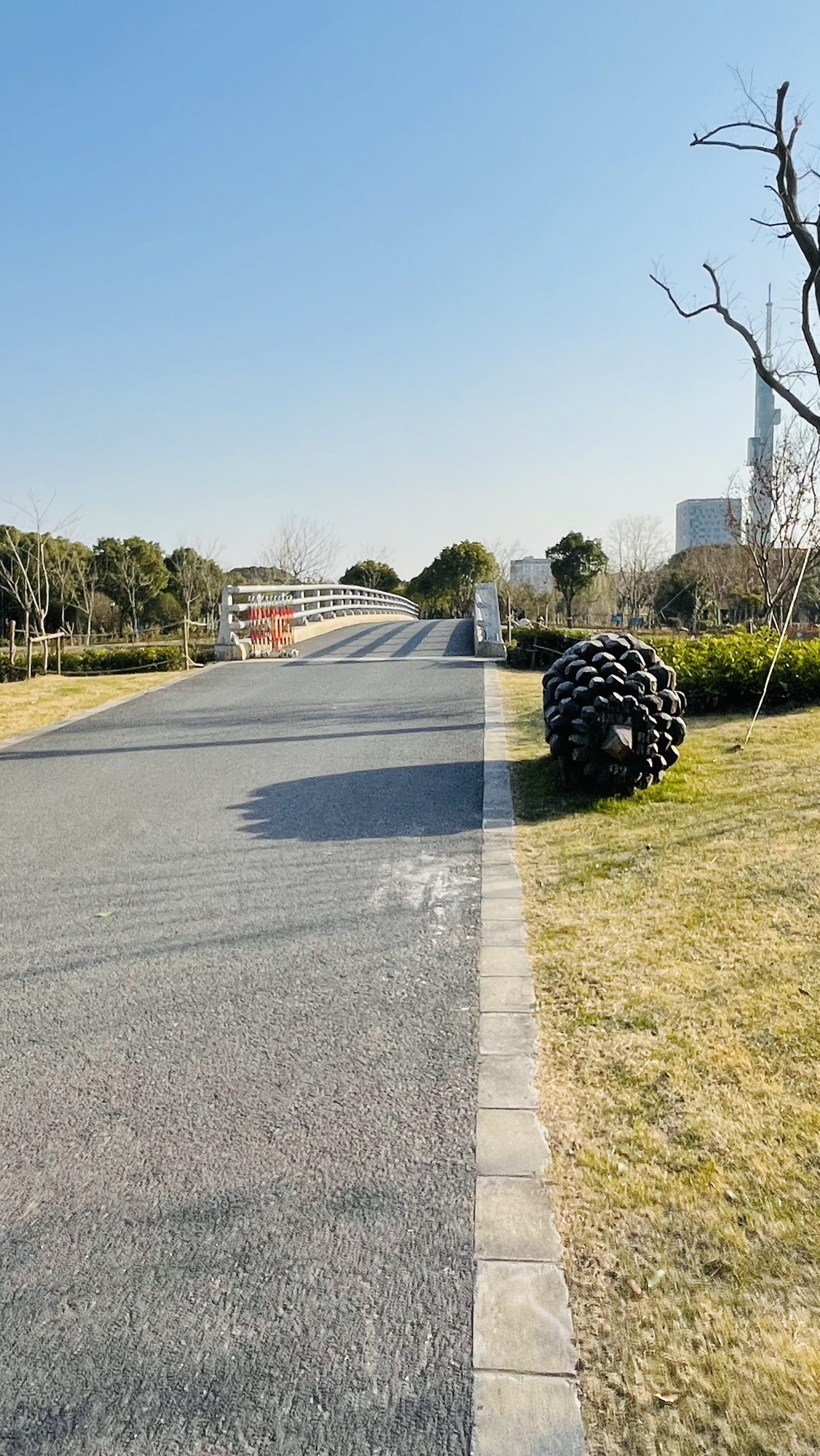 沿北公园旅行图片 3