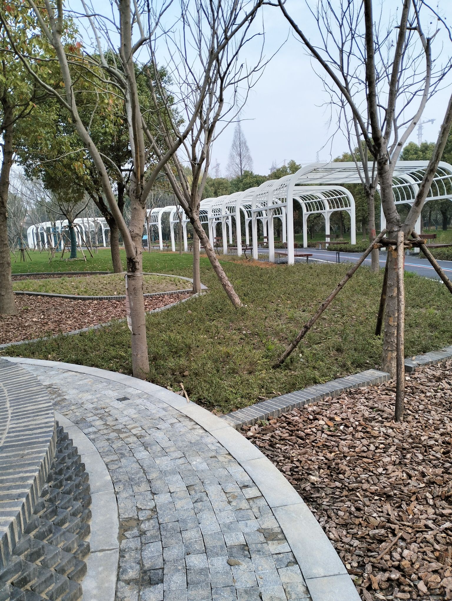 沿北公园旅行图片 2