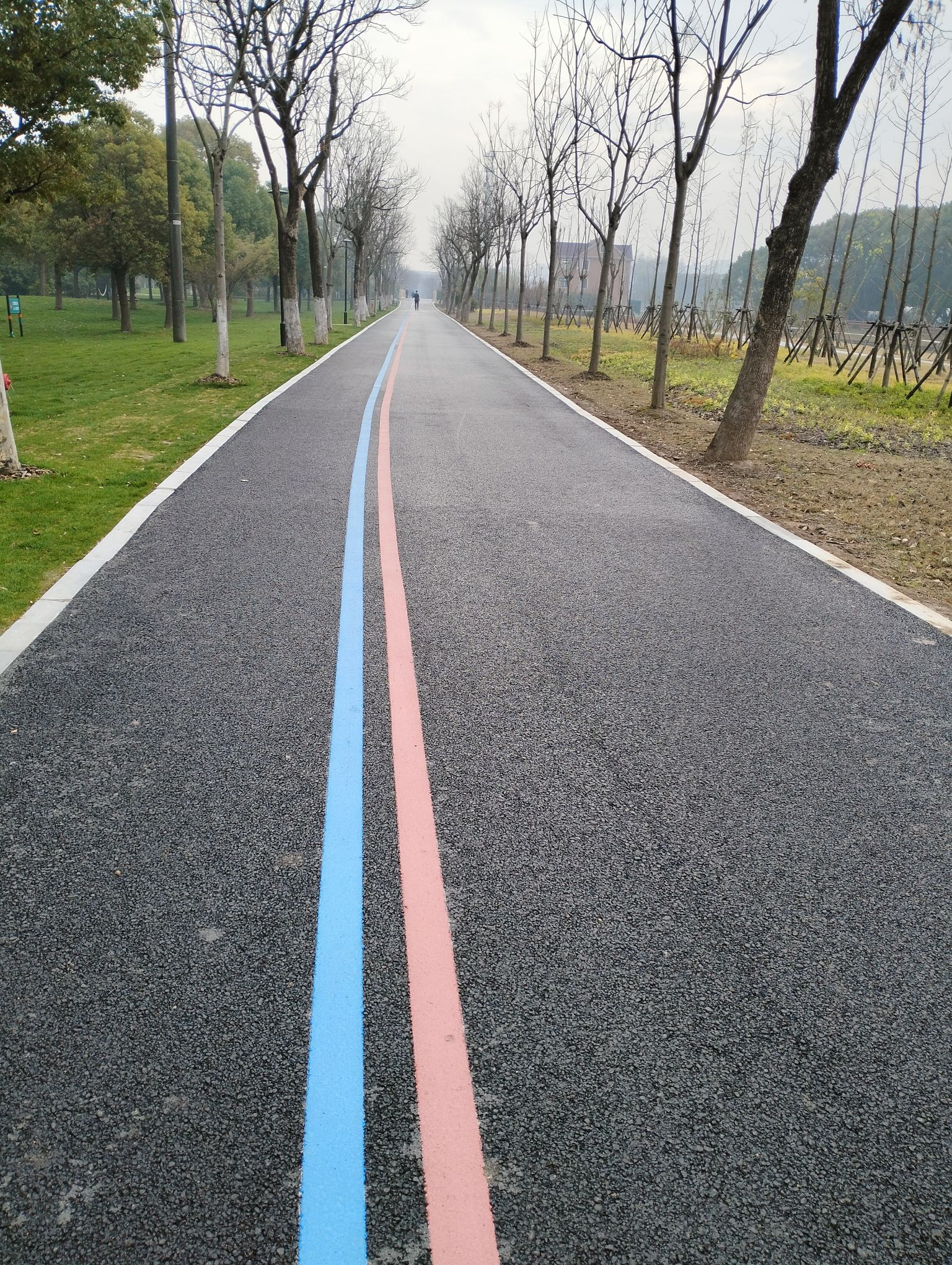 沿北公园旅行图片 3