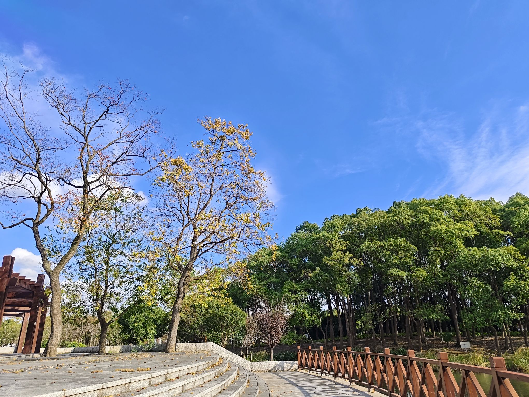 沿北公园旅行图片 3
