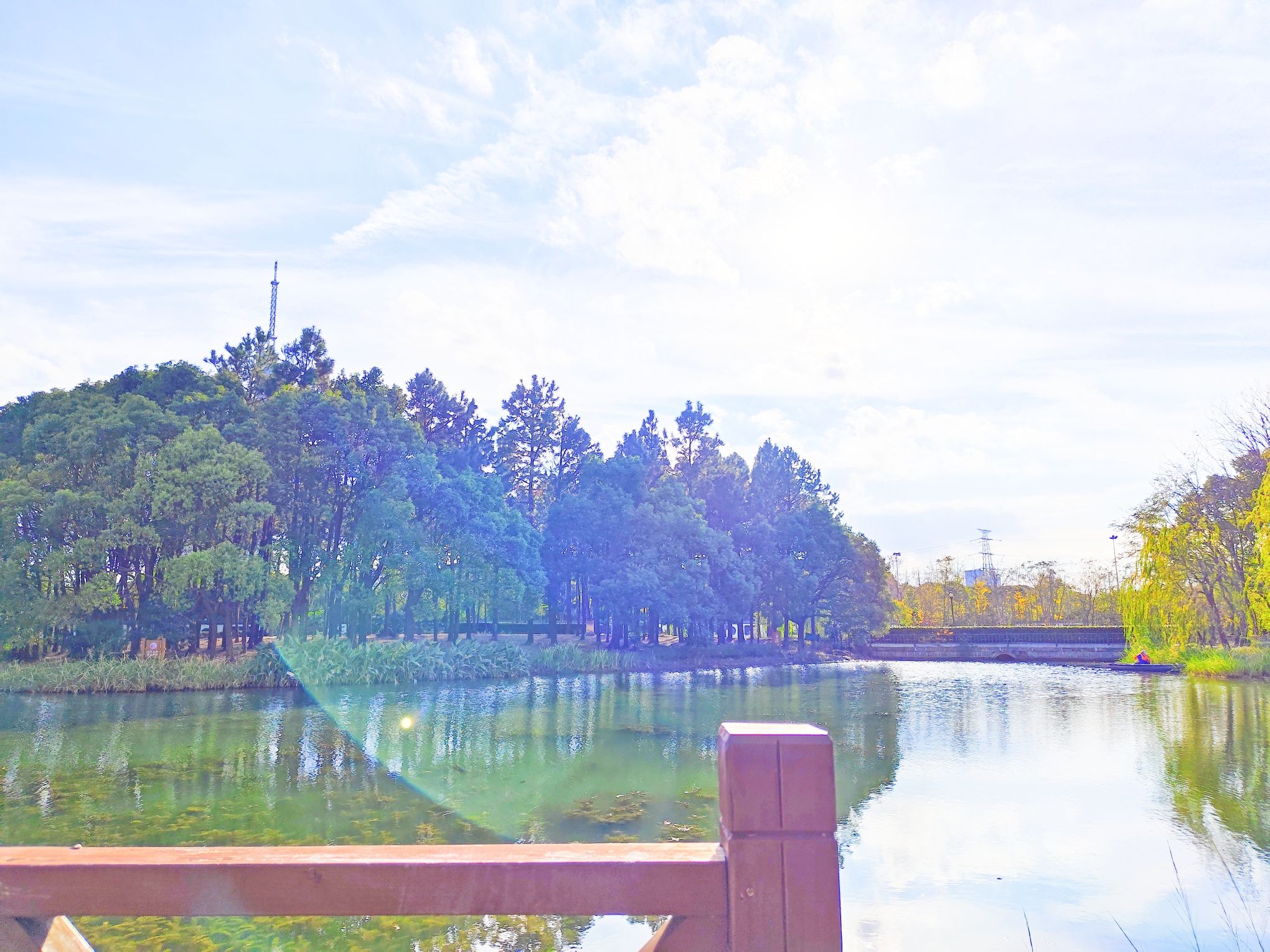 沿北公园旅行图片 1