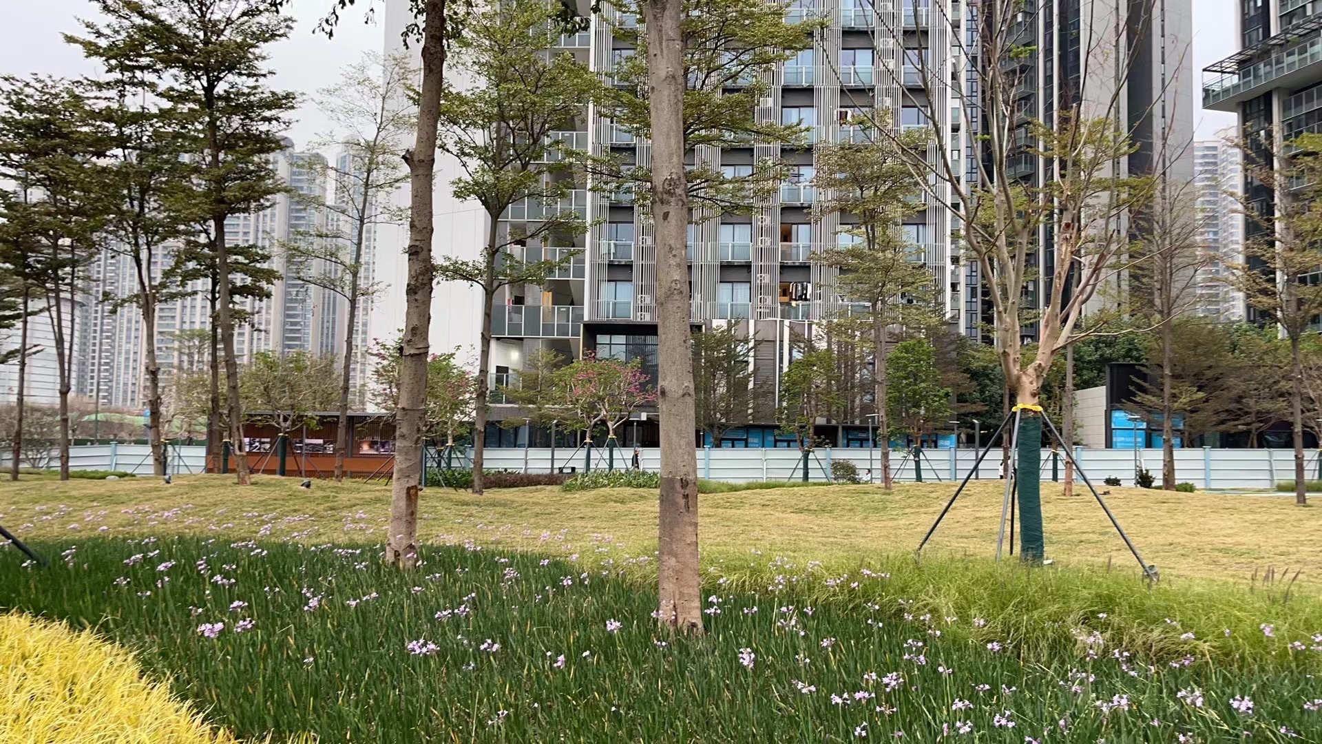 崇文五路口袋公园旅行图片 3