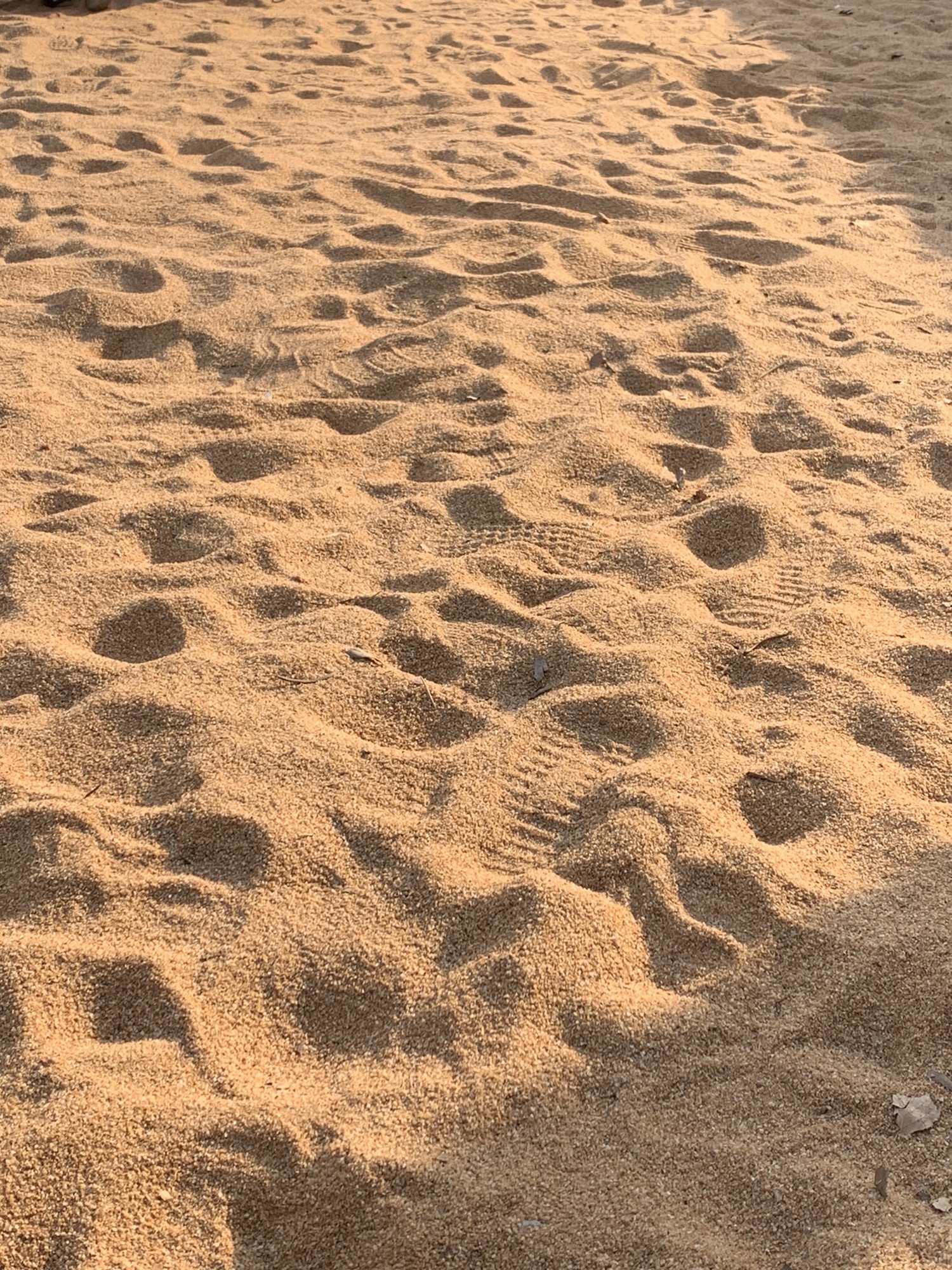 口袋公园(通州区)旅行图片 3
