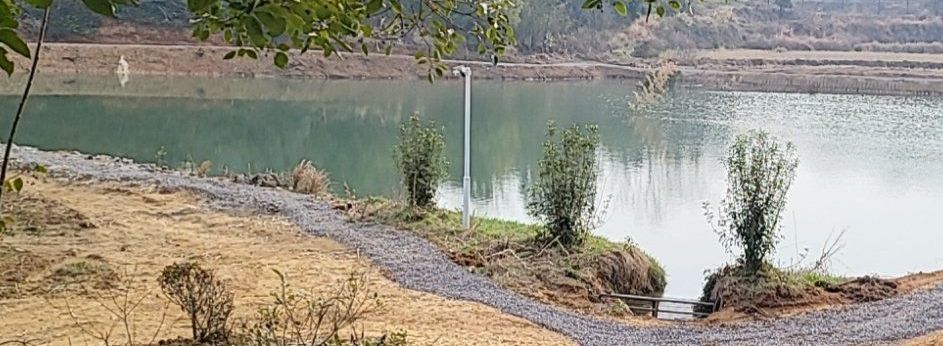 绍兴红星路亚基地