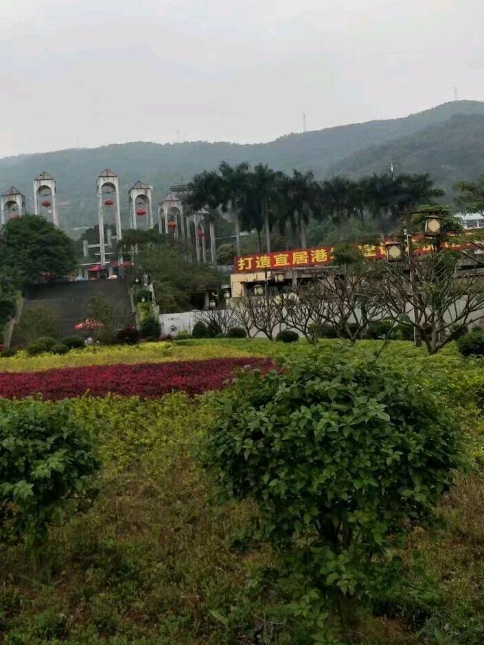凤凰山旅行图片 1