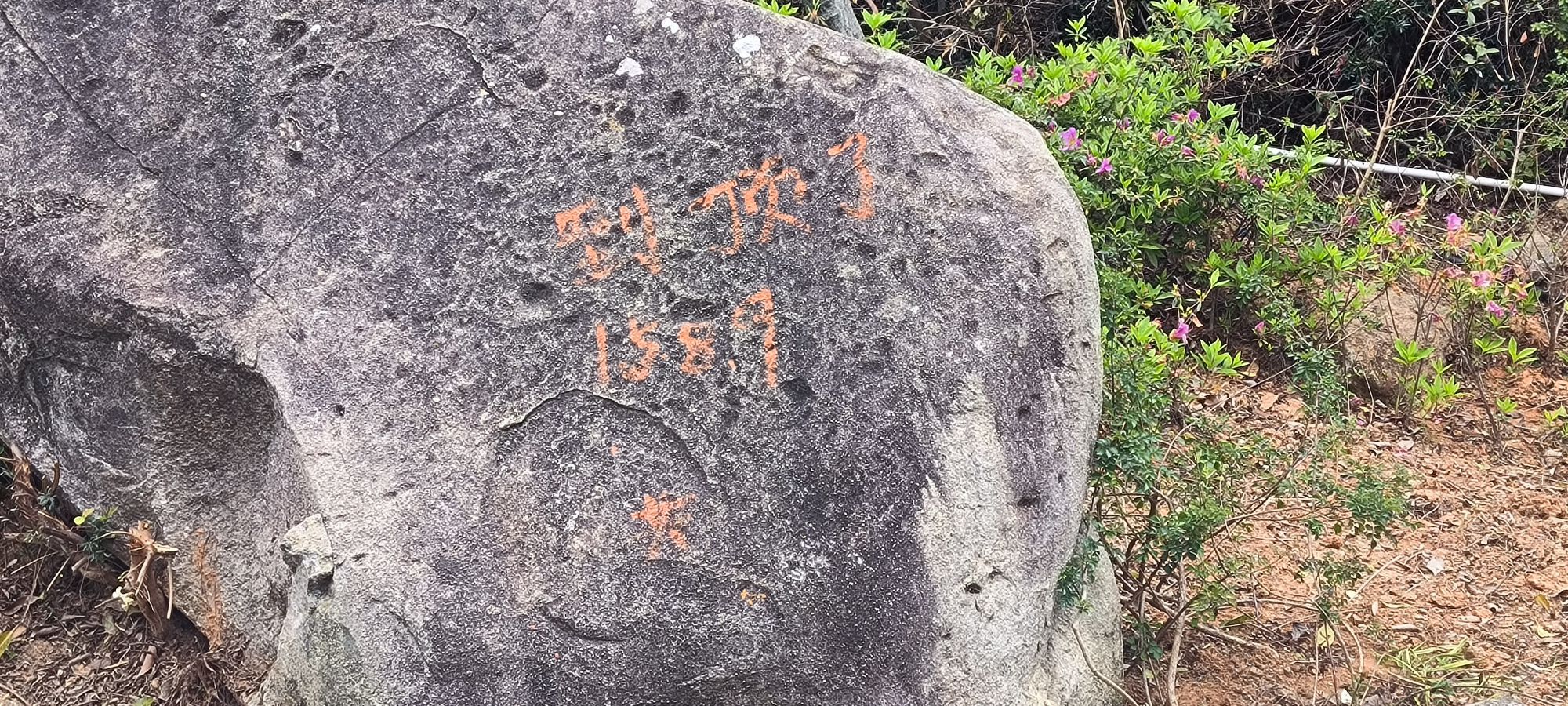 凤凰山旅行图片 3