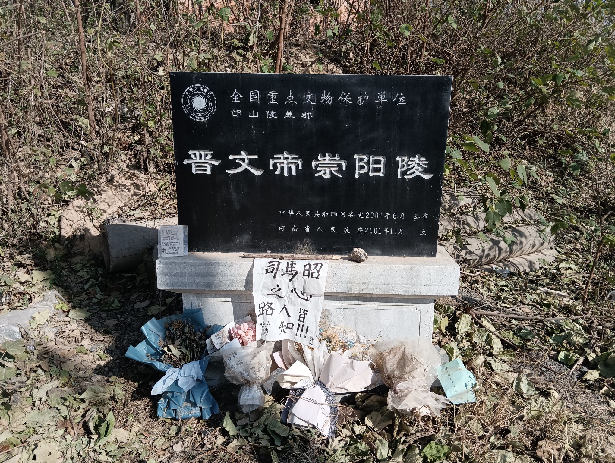 晋文帝崇阳陵旅行图片 2