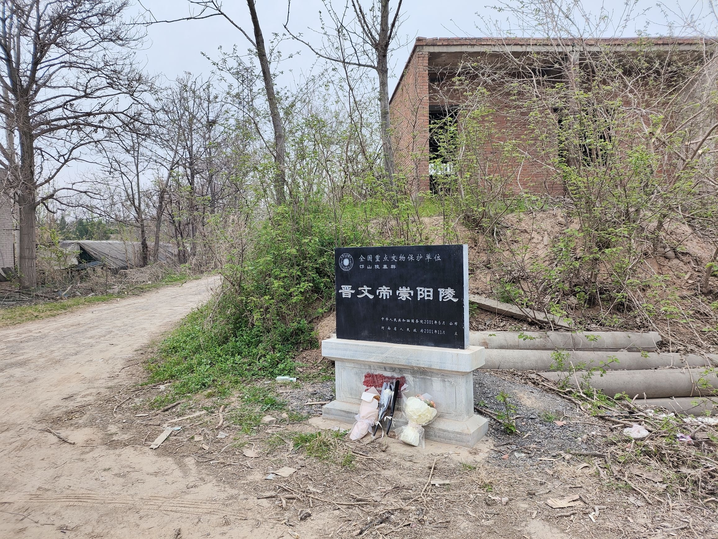 晋文帝崇阳陵旅行图片 3