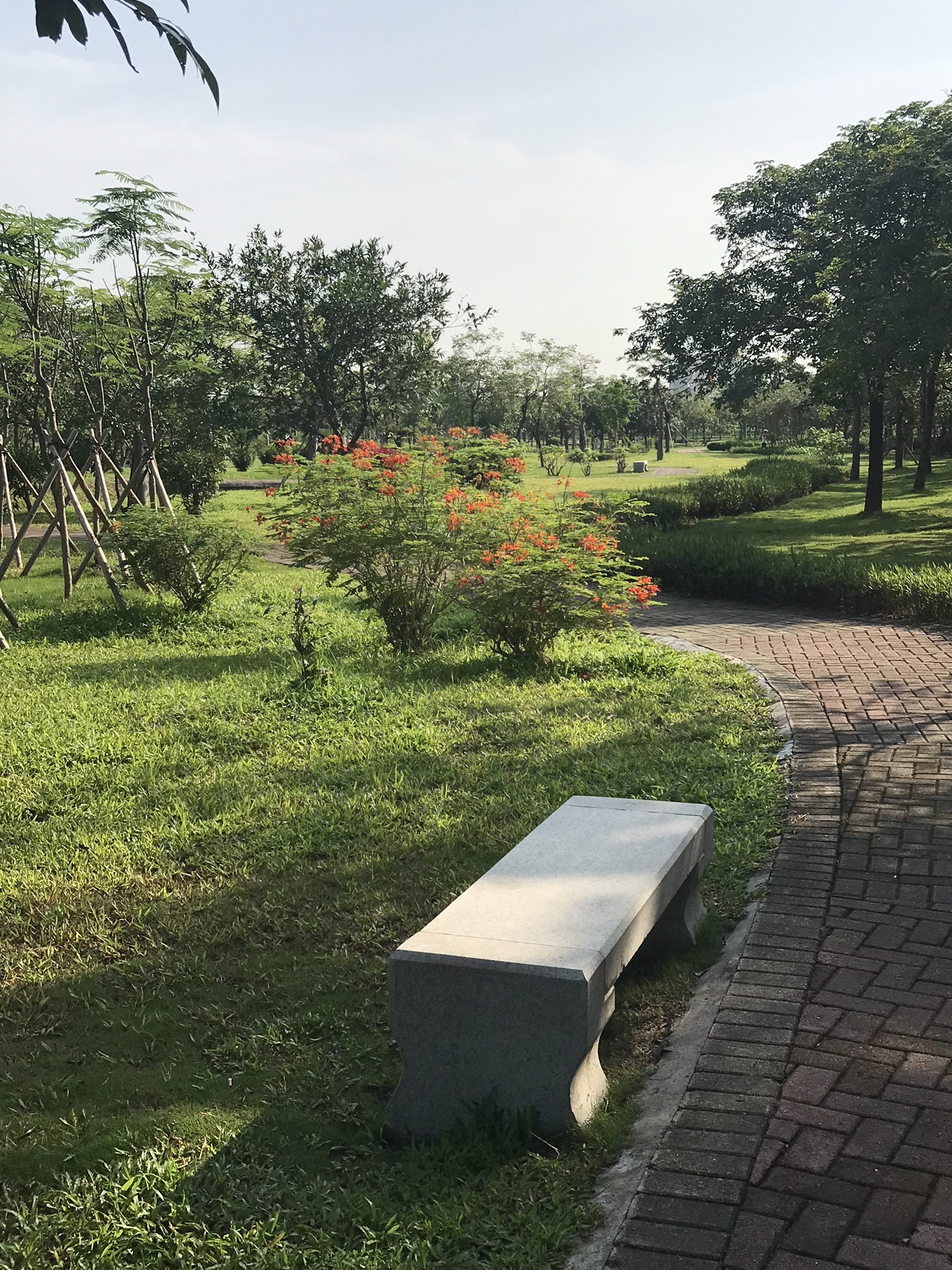 金湾宠物公园旅行图片 3