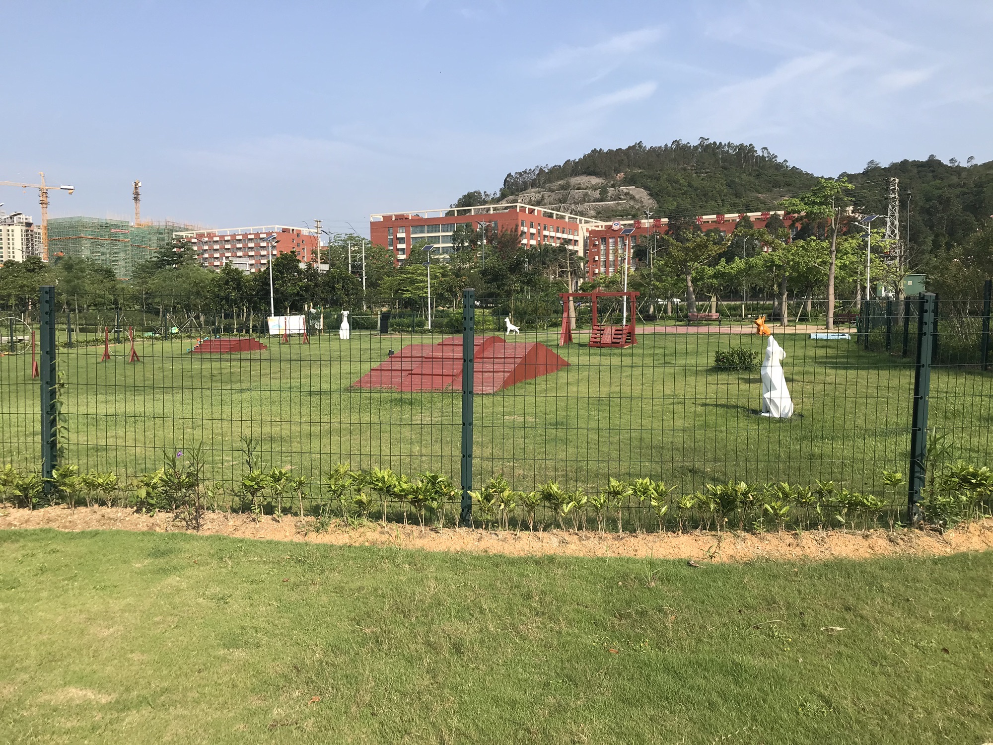 金湾宠物公园旅行图片 2
