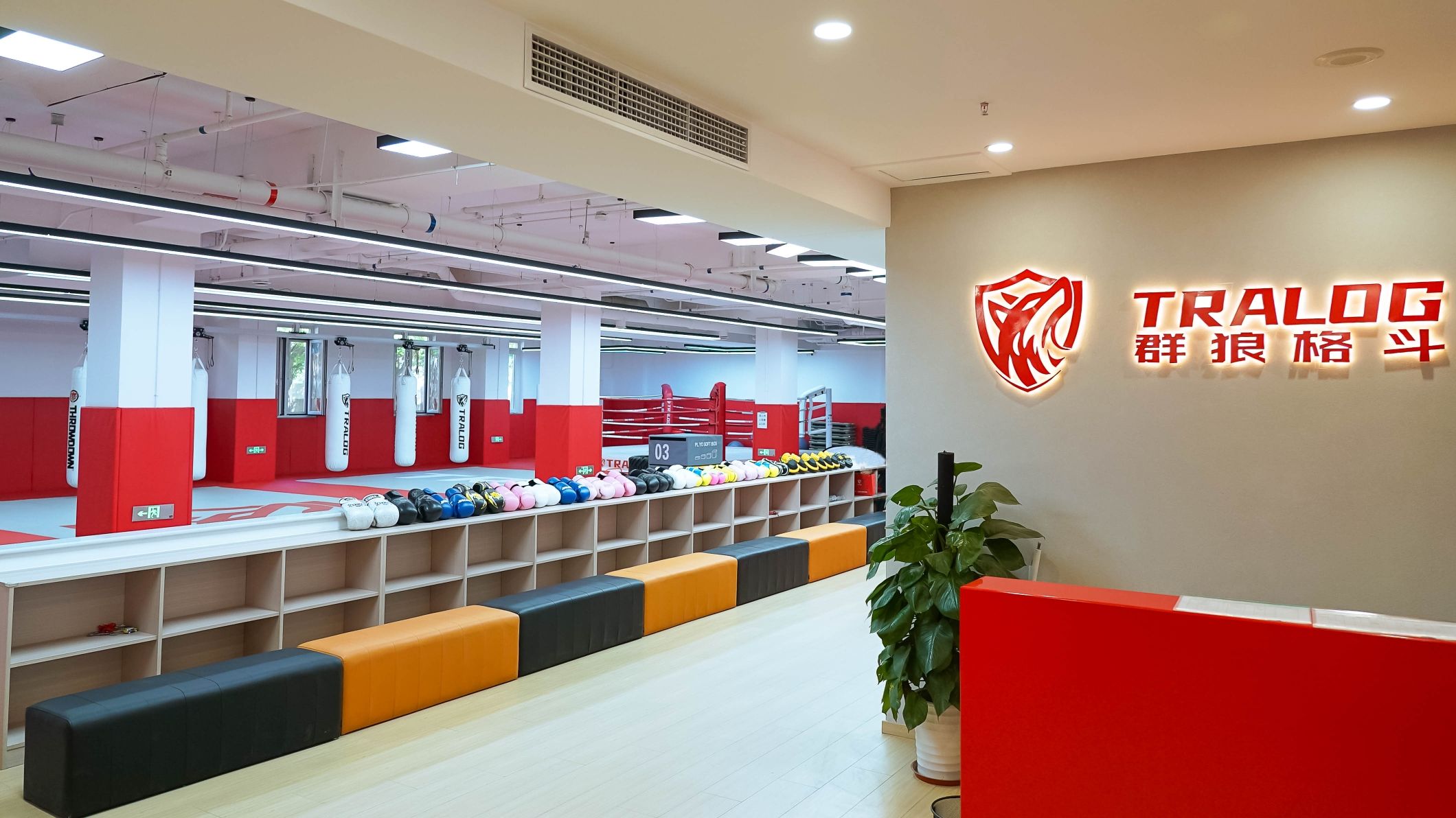 场地封面-群狼格斗·拳击·泰拳·自由搏击·体适能(中体店)