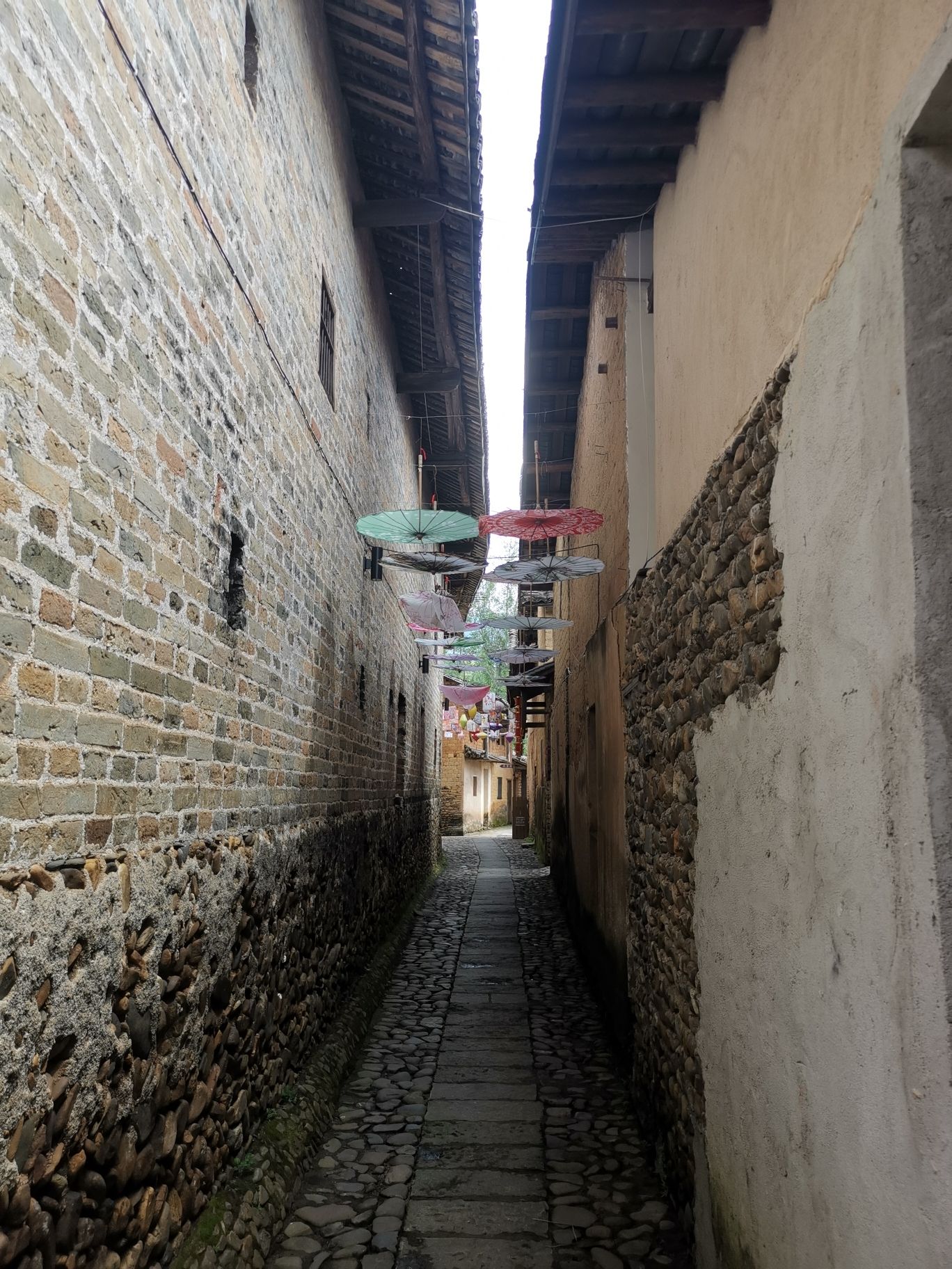 敬安堂旅行图片 1
