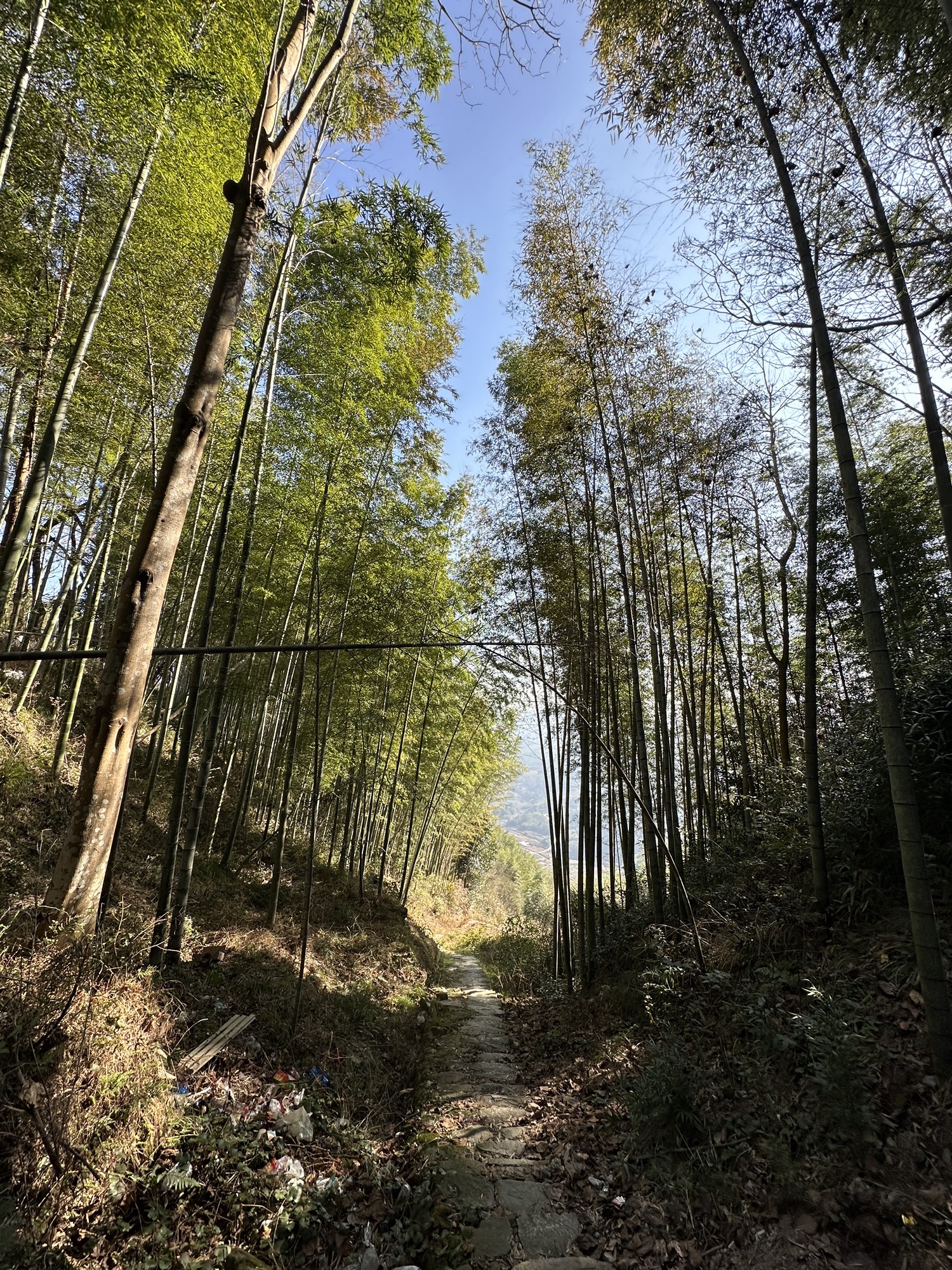 罗阳石亭旅行图片 3