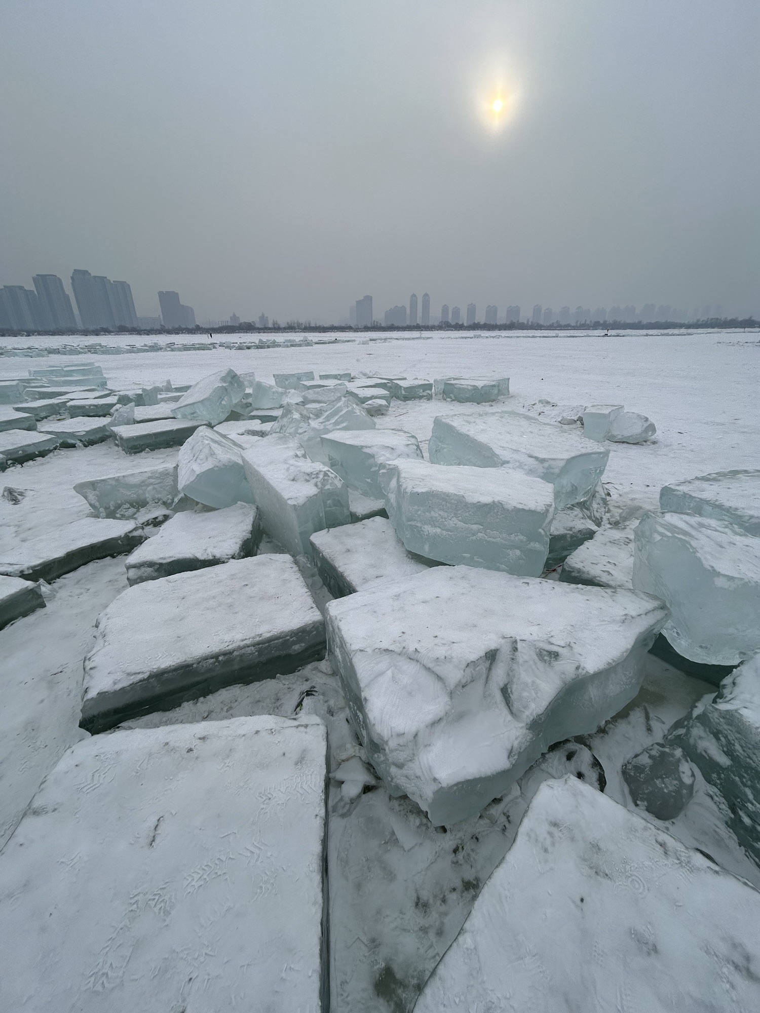 钻石海旅行图片 2