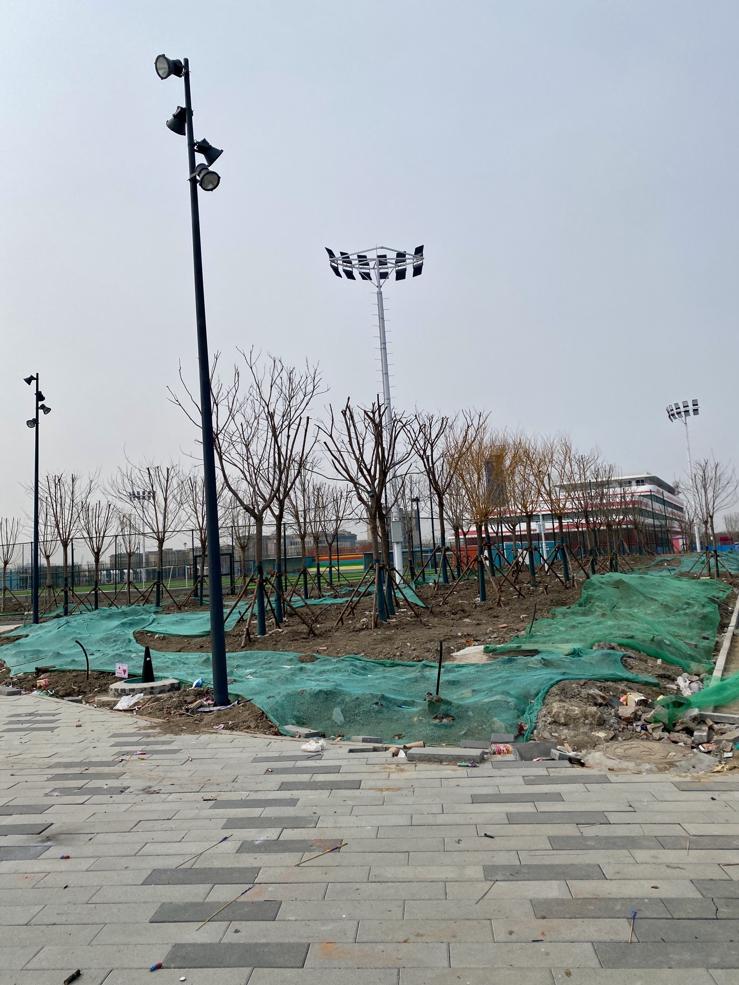 东疆体育公园旅行图片 3
