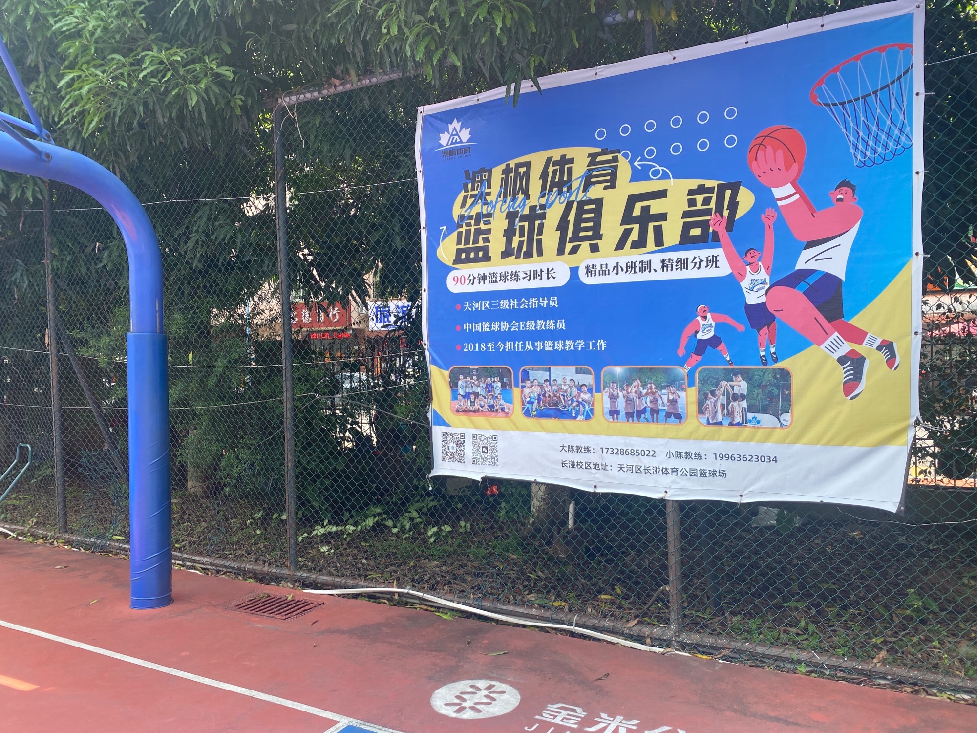 场地封面-澳枫体育篮球俱乐部