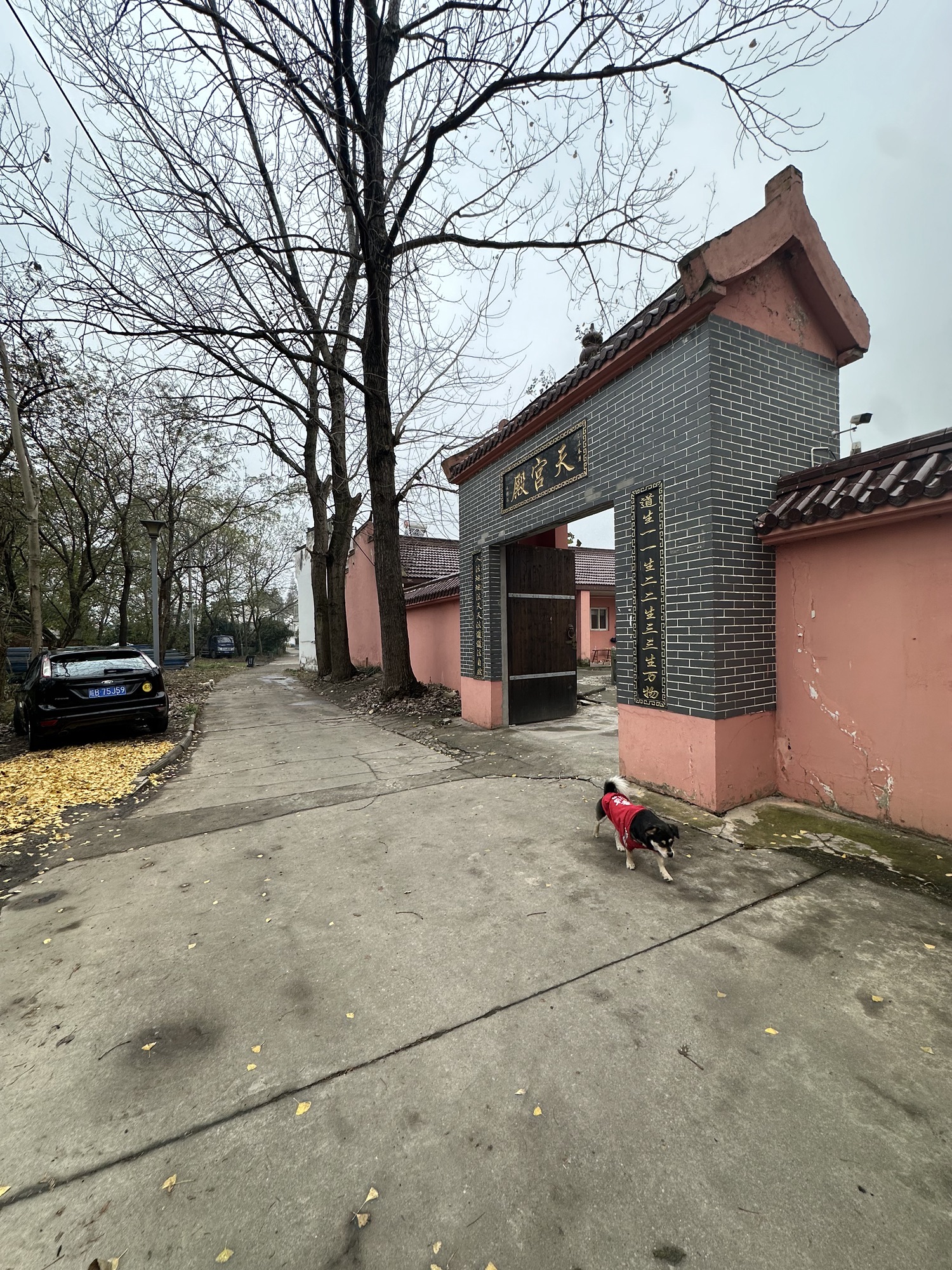 湾沚区天宫殿旅行图片 1