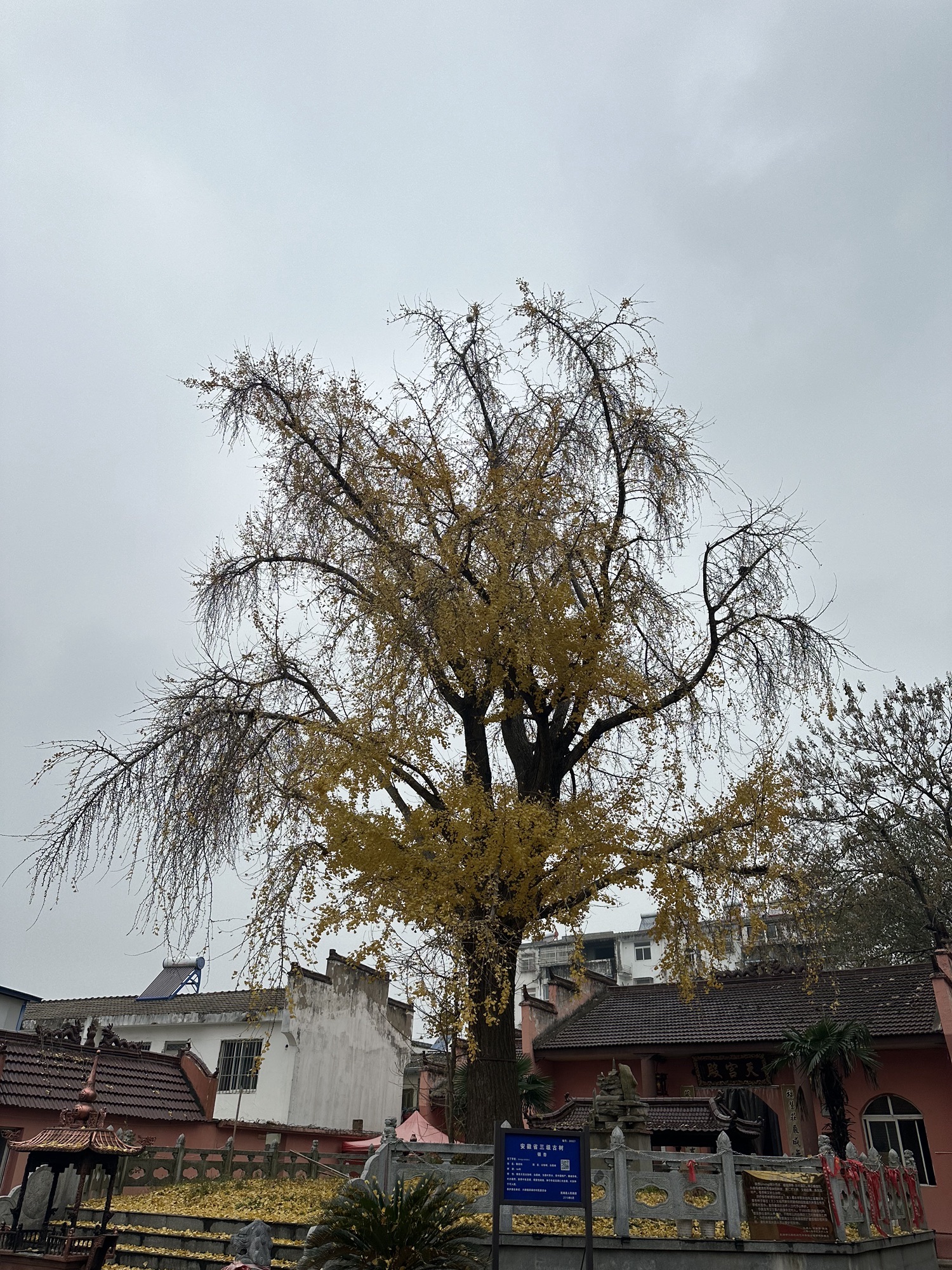 湾沚区天宫殿旅行图片 3
