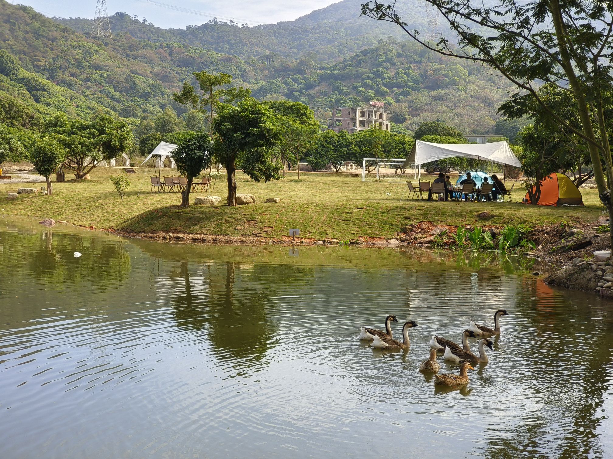 东篱自然营Nature nest