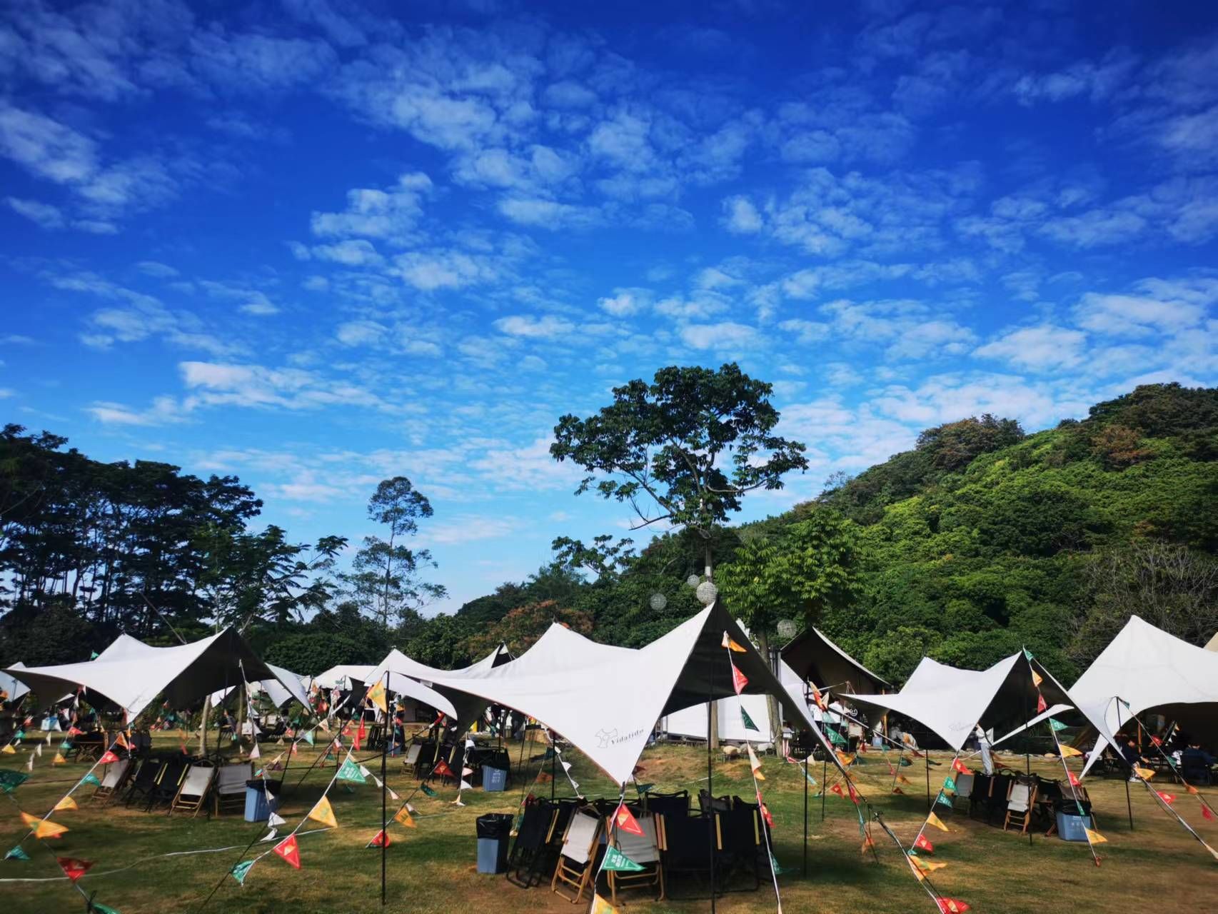 东篱自然营Nature nest