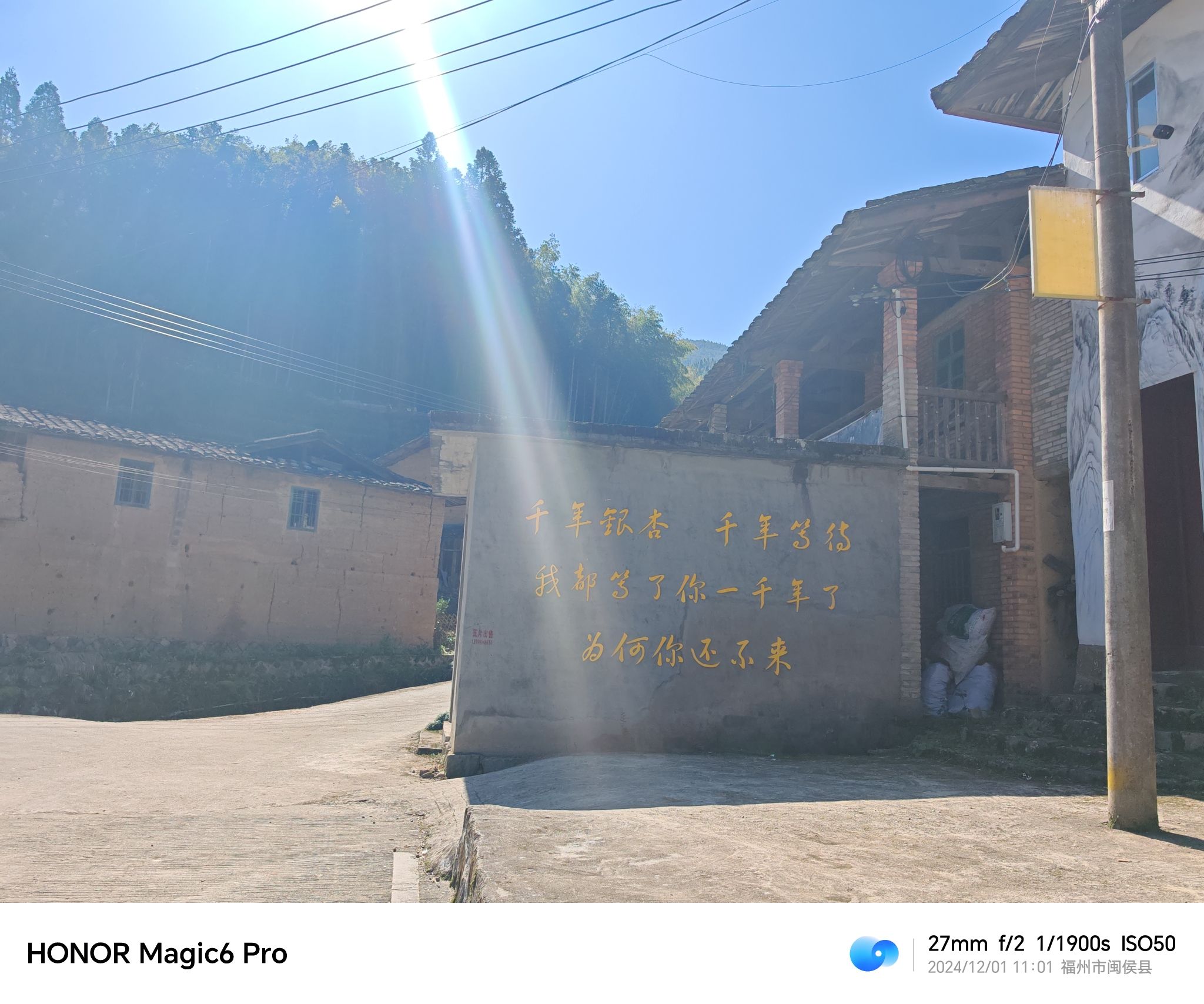 碾坑千年银杏网红打卡点旅行图片 1