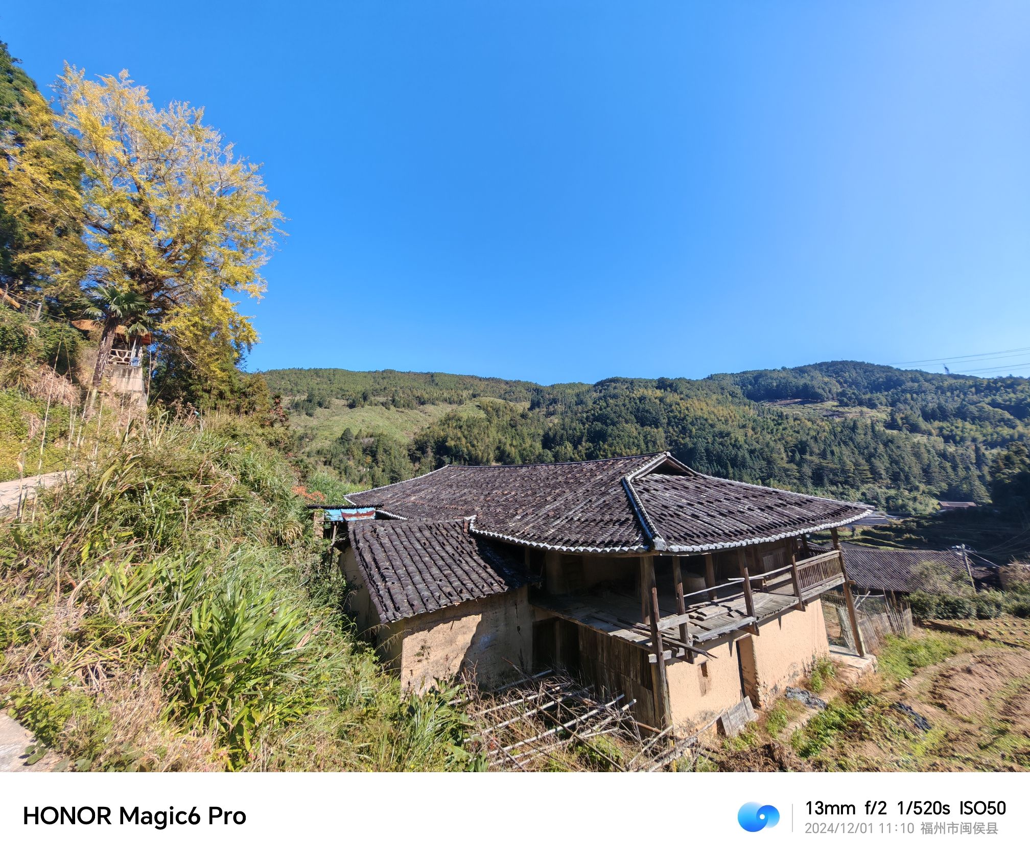 碾坑千年银杏网红打卡点旅行图片 3