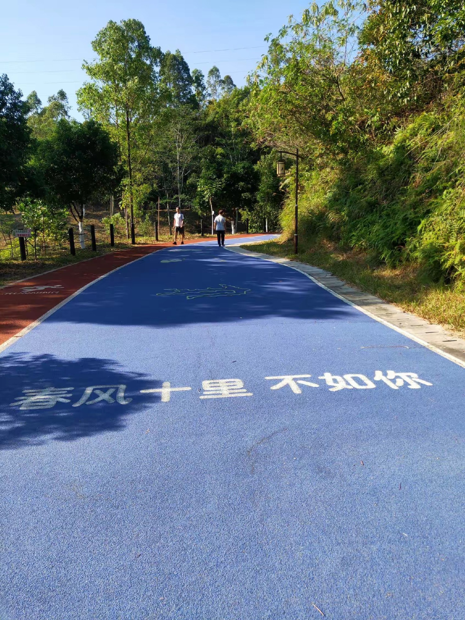 激流坑公园旅行图片 3