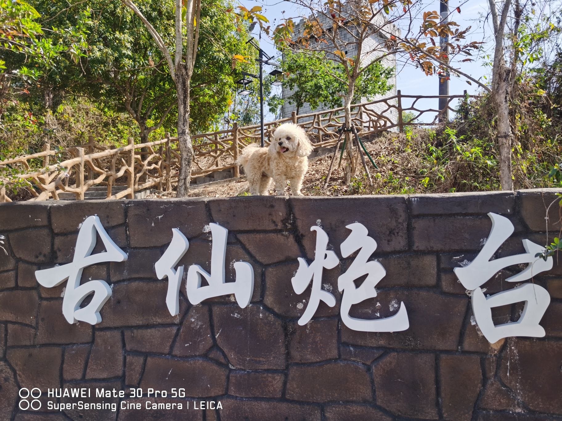 古仙炮台旅行图片 2