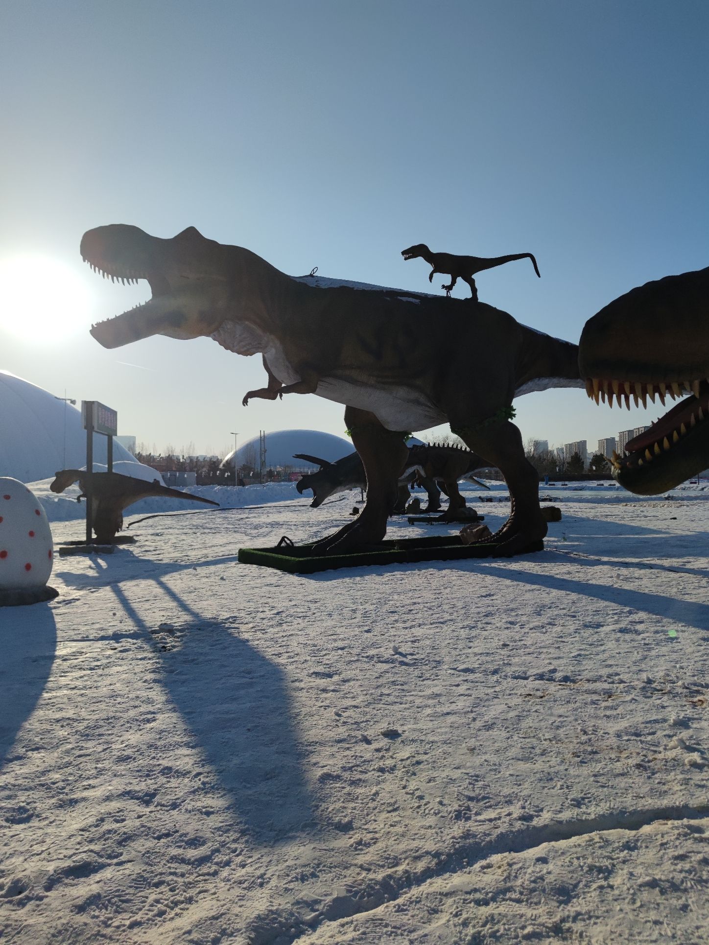 乌兰察布之夜·冰雪嘉年华旅行图片 3