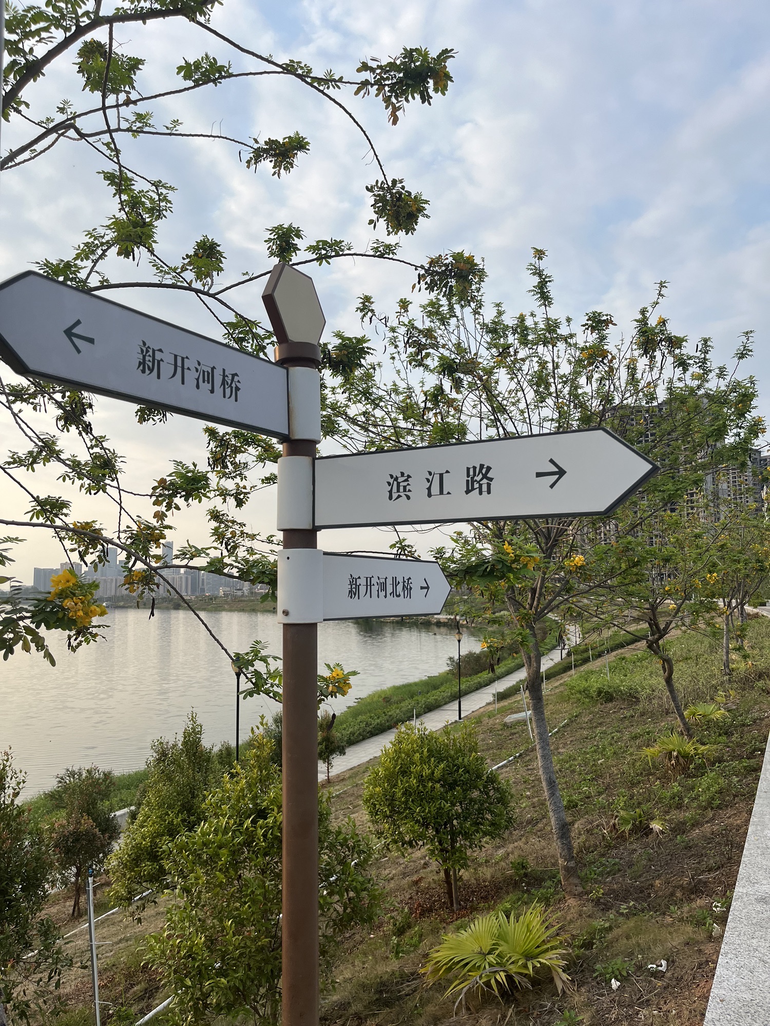 东平江边公园旅行图片 1