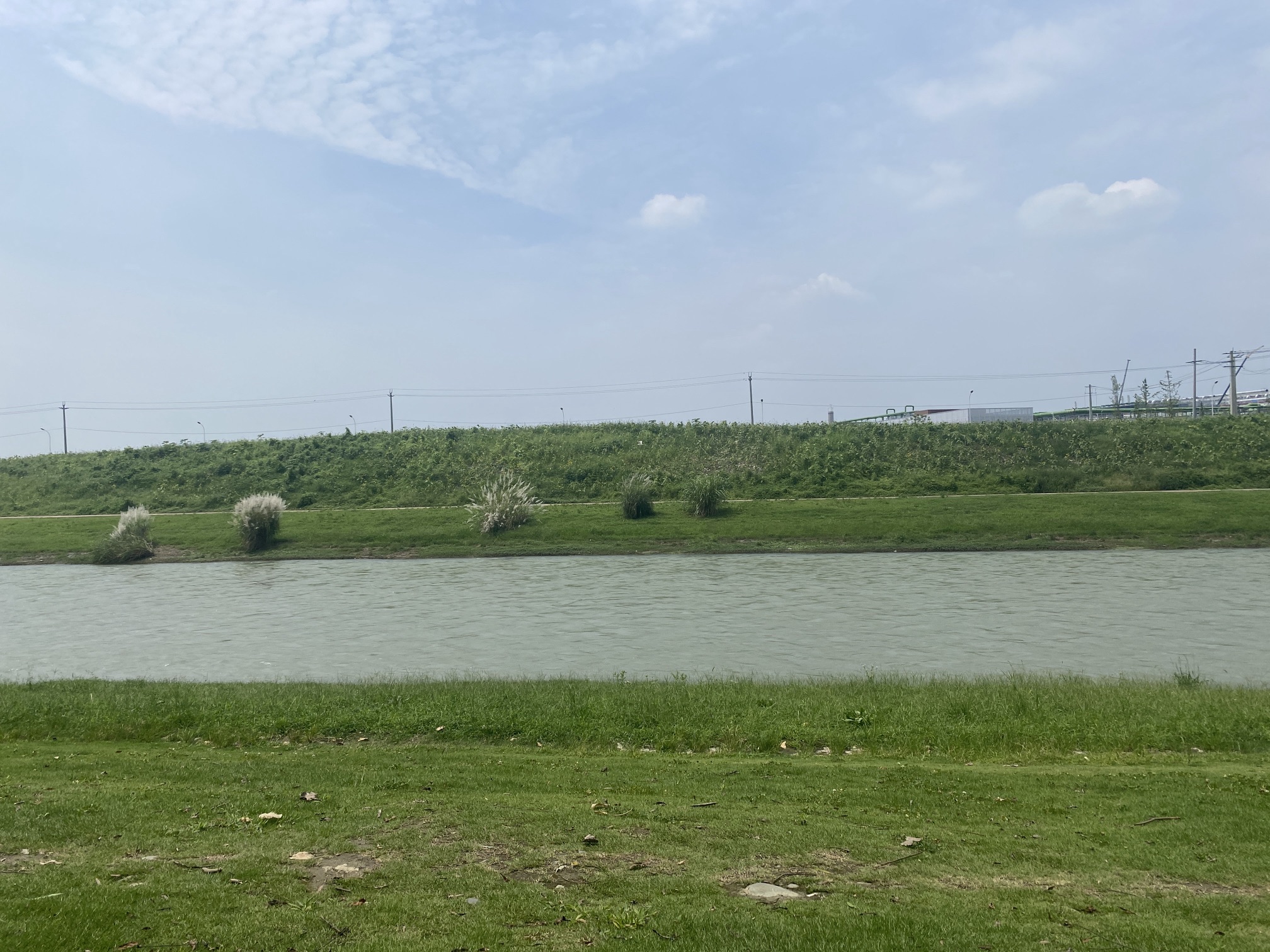 绿芯公园旅行图片 1