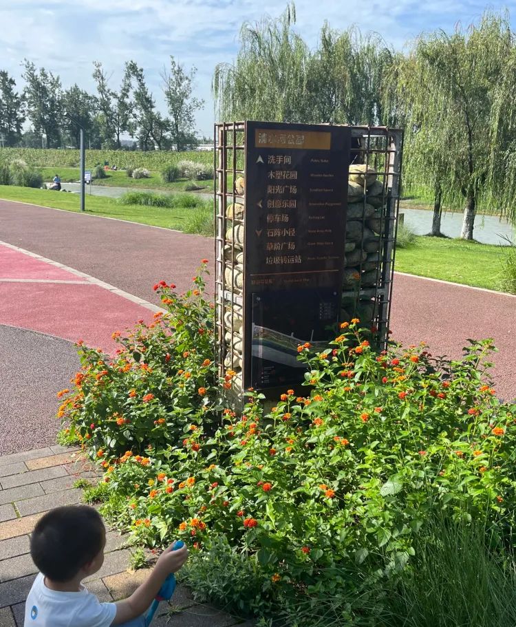 绿芯公园旅行图片 1