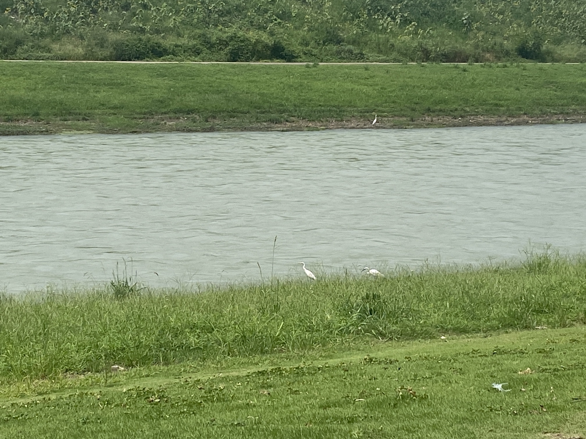 绿芯公园旅行图片 2