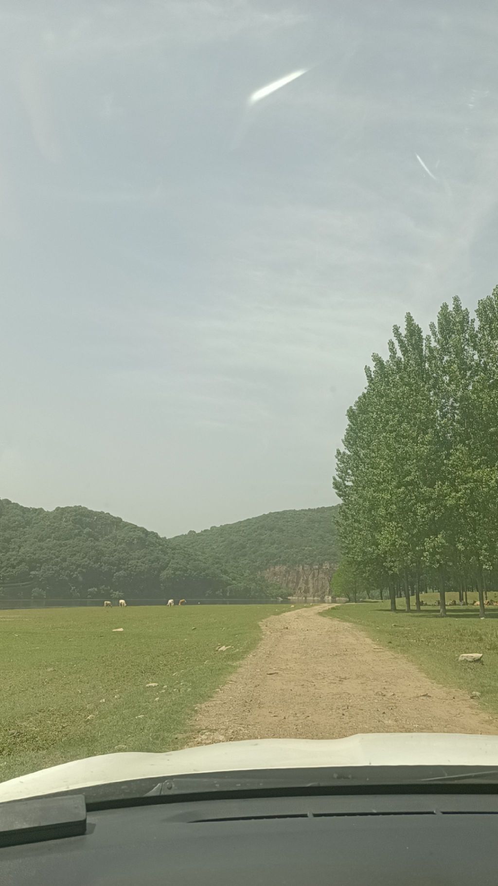 猴儿崖旅行图片 2