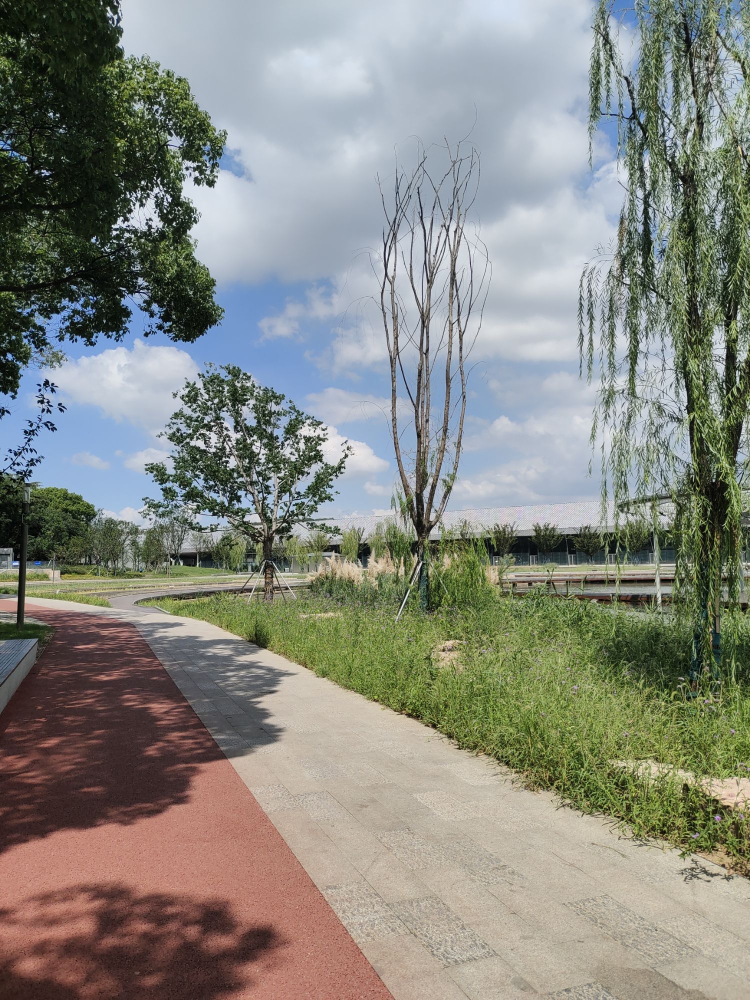 狮山公园旅行图片 3