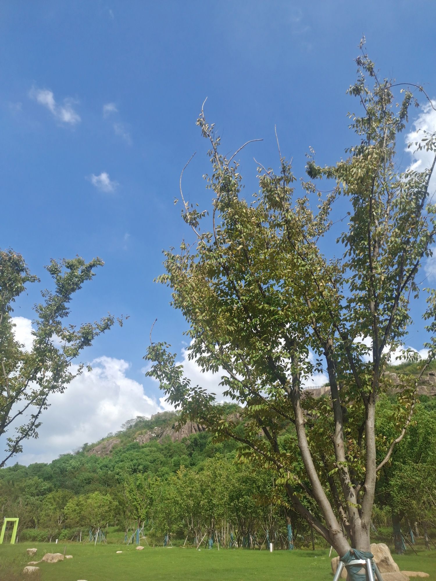 狮山公园旅行图片 2