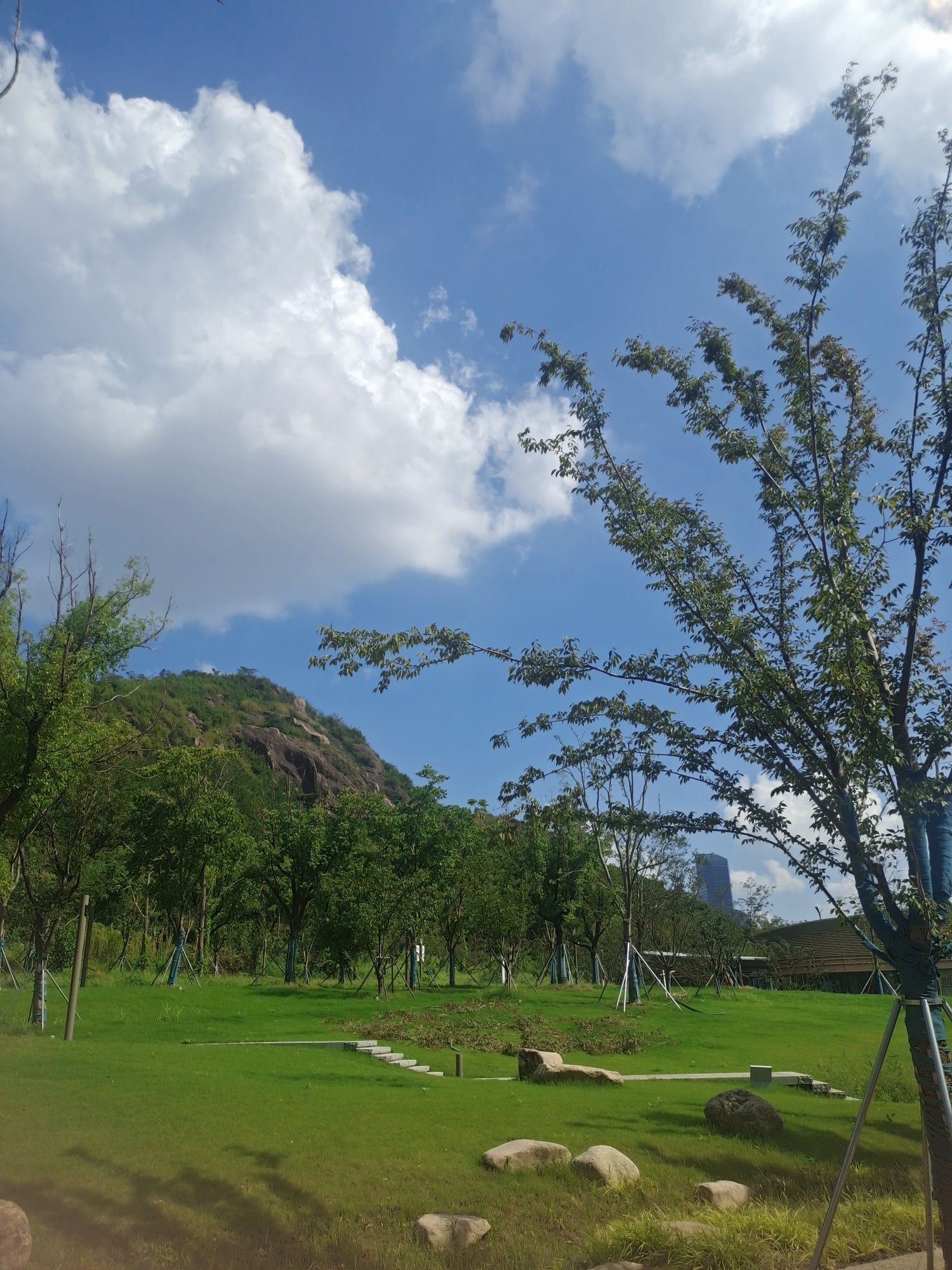 狮山公园旅行图片 3