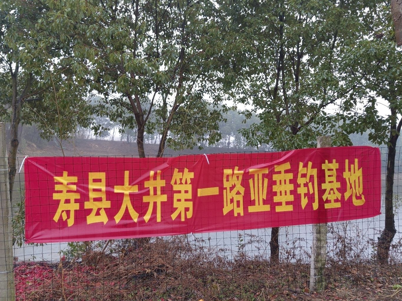 寿县大井第一路亚垂钓基地