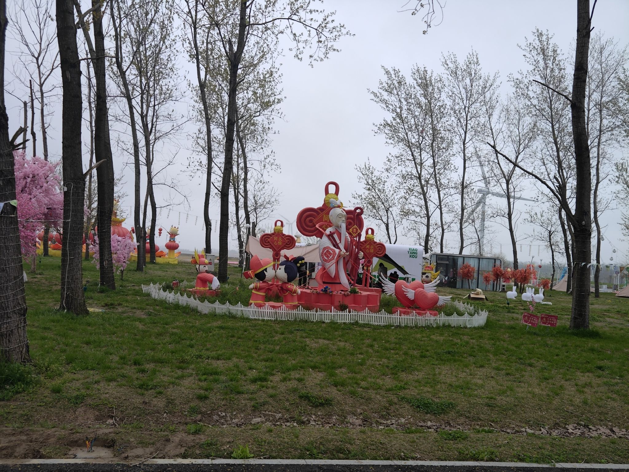 小洋口桃花岛旅行图片 1