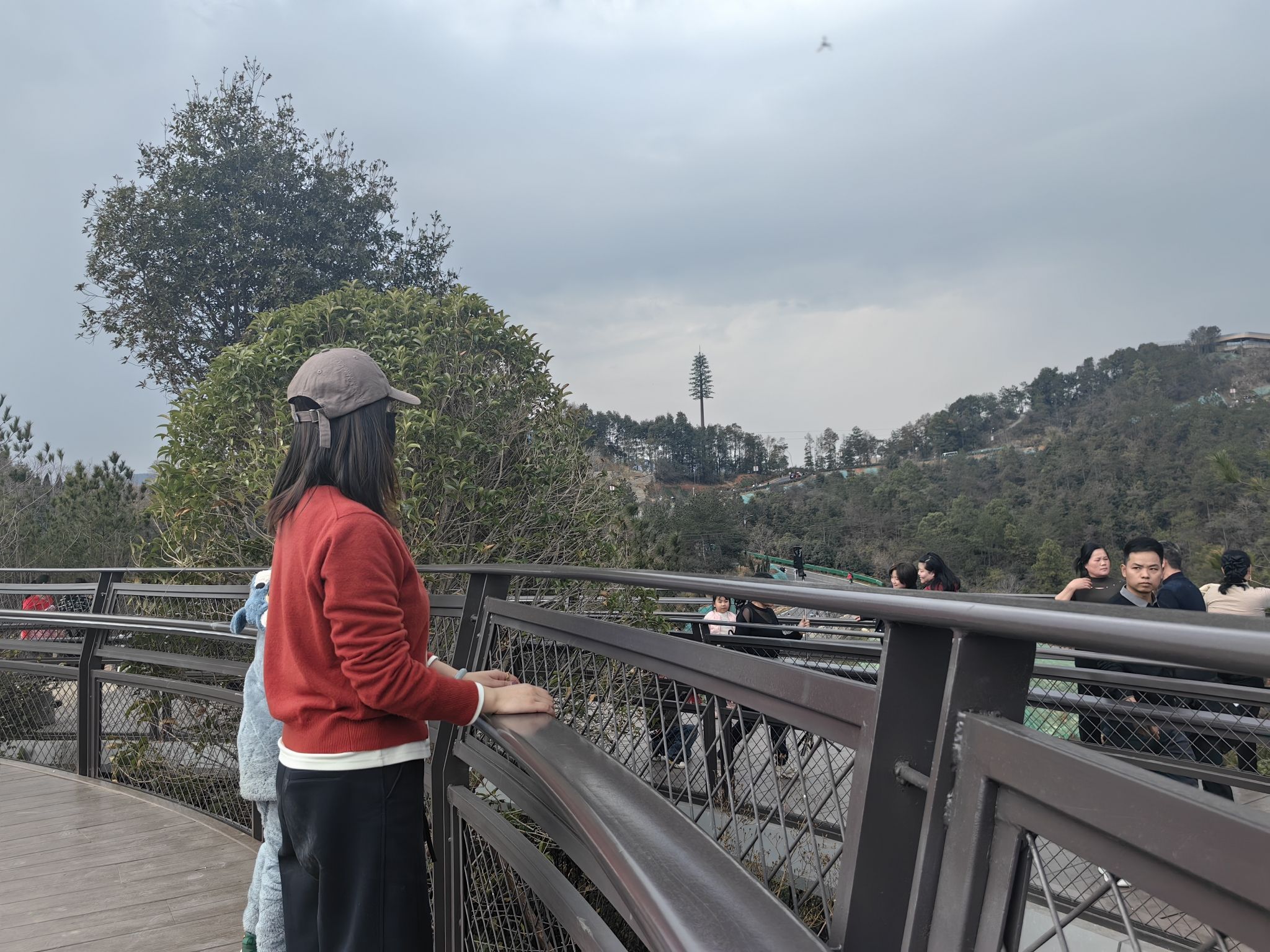 蟠龙峰景区旅行图片 3