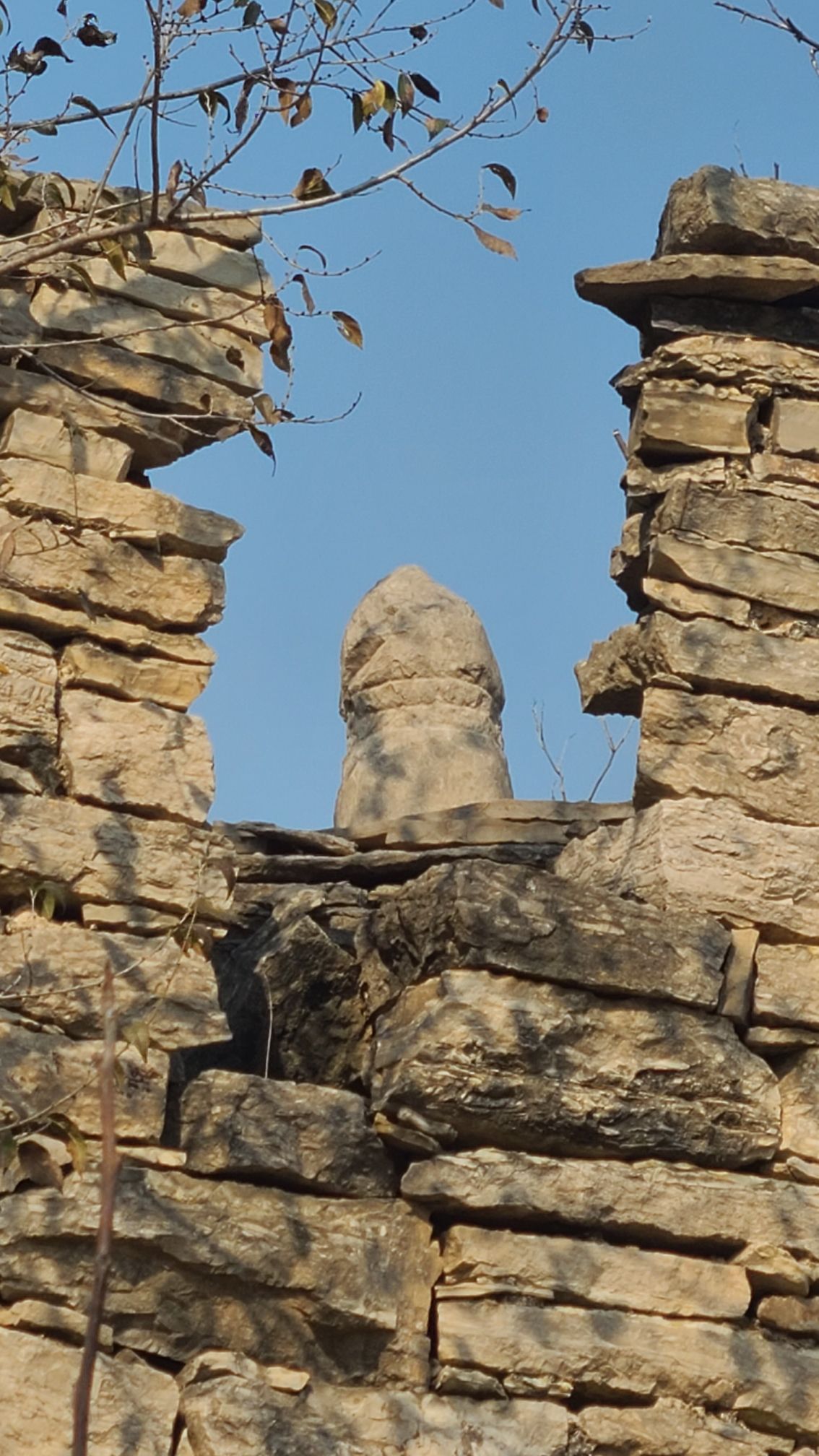 二奇楼旅行图片 2