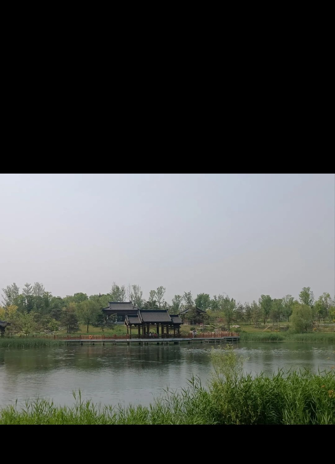 悦容公园中苑旅行图片 3