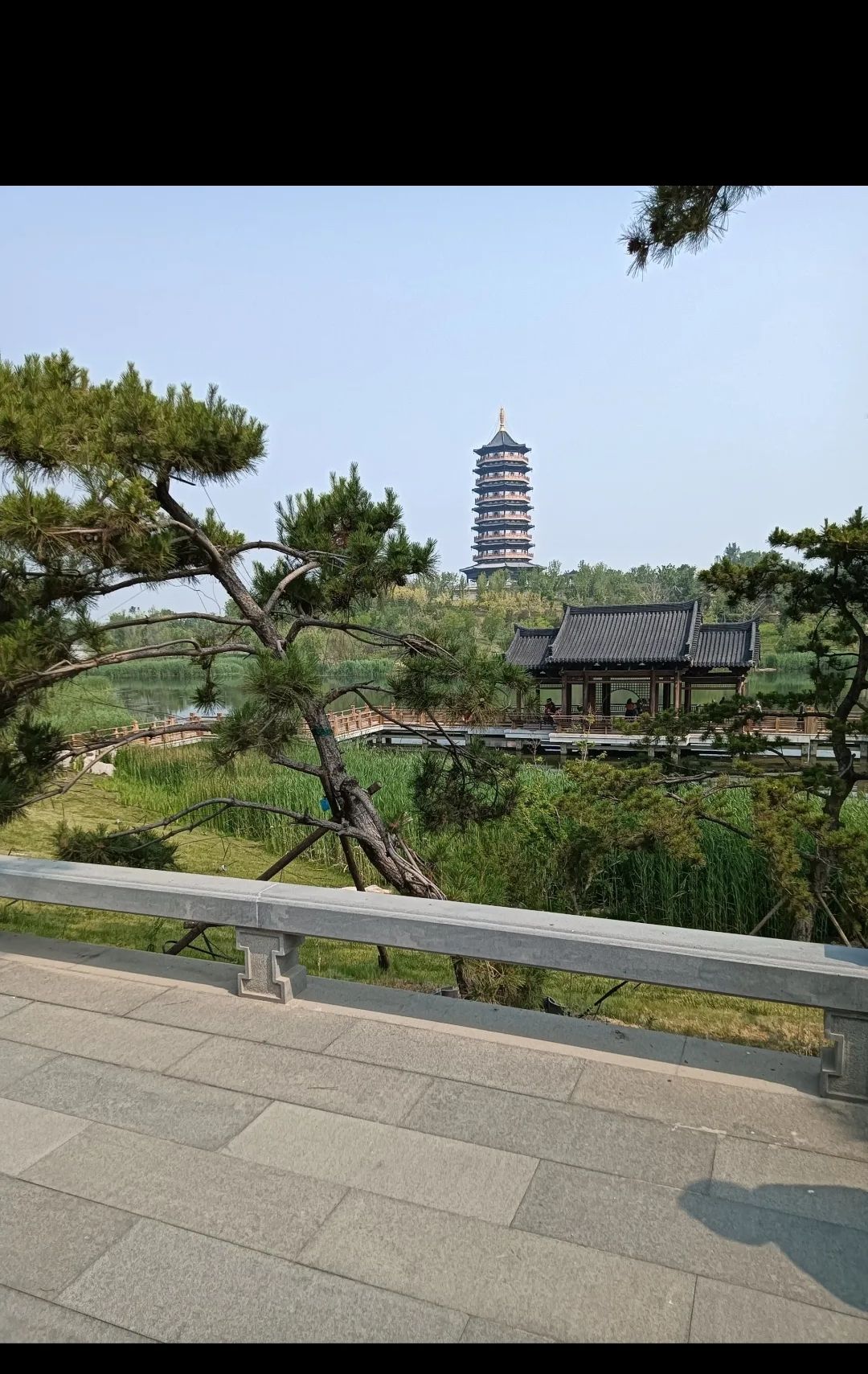 悦容公园中苑旅行图片 2
