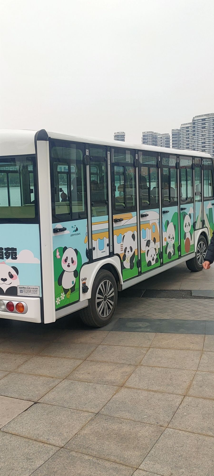 龙舟赛主席台旅行图片 1