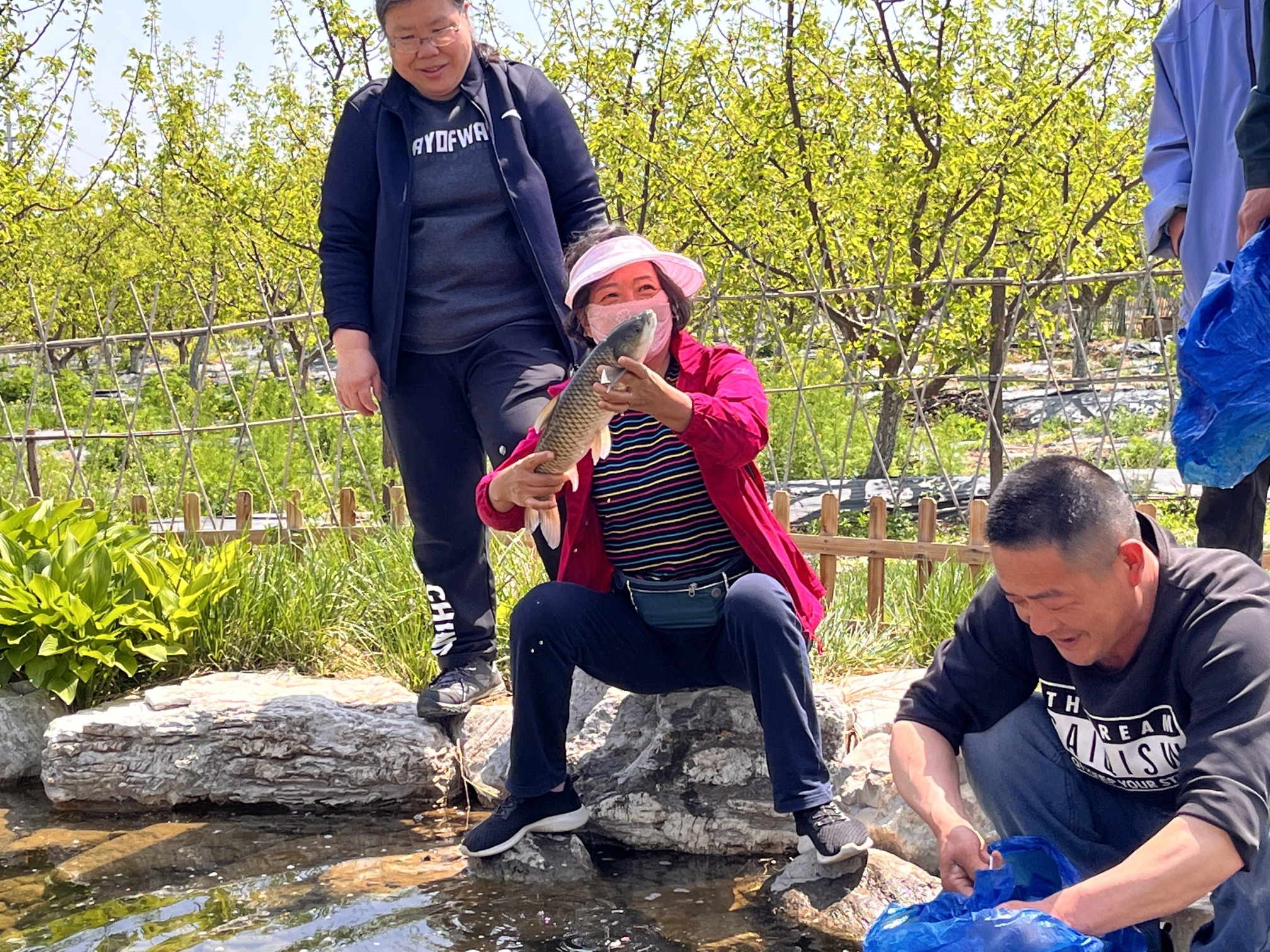 白石山温泉旅游度假区-采薇园旅行图片 2