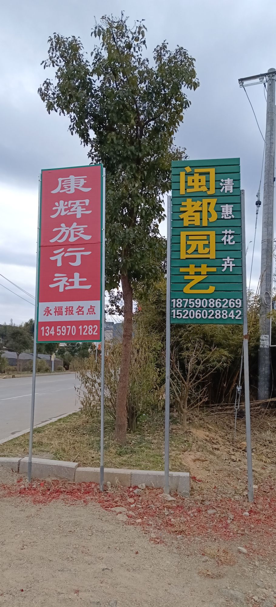 永福樱花茶旅景区旅行图片 1