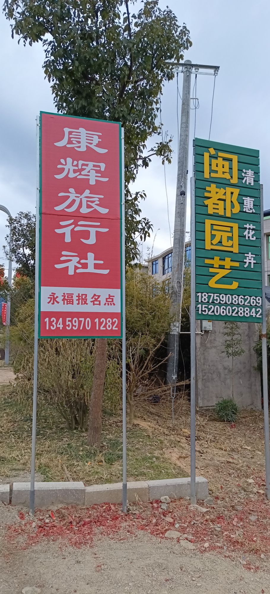 永福樱花茶旅景区旅行图片 3